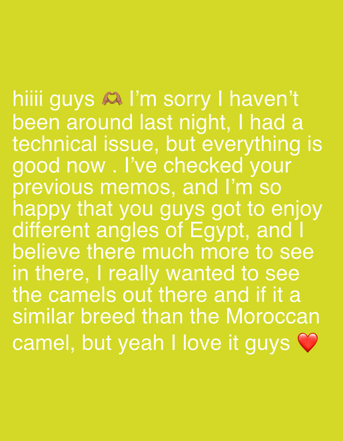 The image is a screenshot of a text message or social media post with a yellow background and white text. The text expresses an apology for not being around the previous night due to a technical issue. The writer mentions checking previous memos, expresses happiness that the recipients enjoyed different angles of Egypt, and states a desire to see camels, wondering if they are similar to Moroccan camels. The message ends with "but yeah I love it guys" and a red heart emoji.