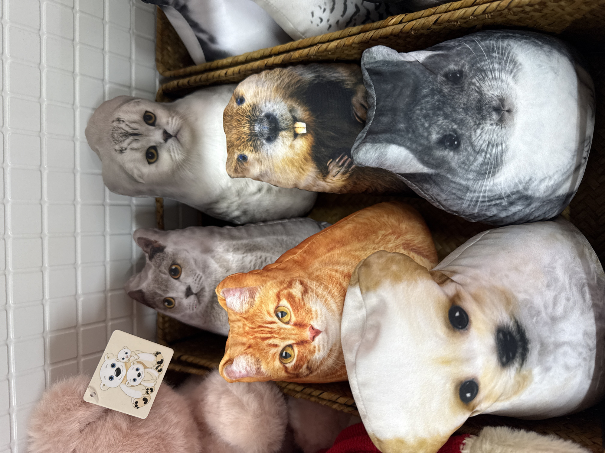 The image shows a basket of animal-themed cushions, including representations of cats (gray tabby and orange tabby), a beaver, a chinchilla, and a dog. A white card with a cartoon drawing of polar bears is present near the bottom left corner. The location, Nizhnevartovsk, Russia, is not discernible from the image.