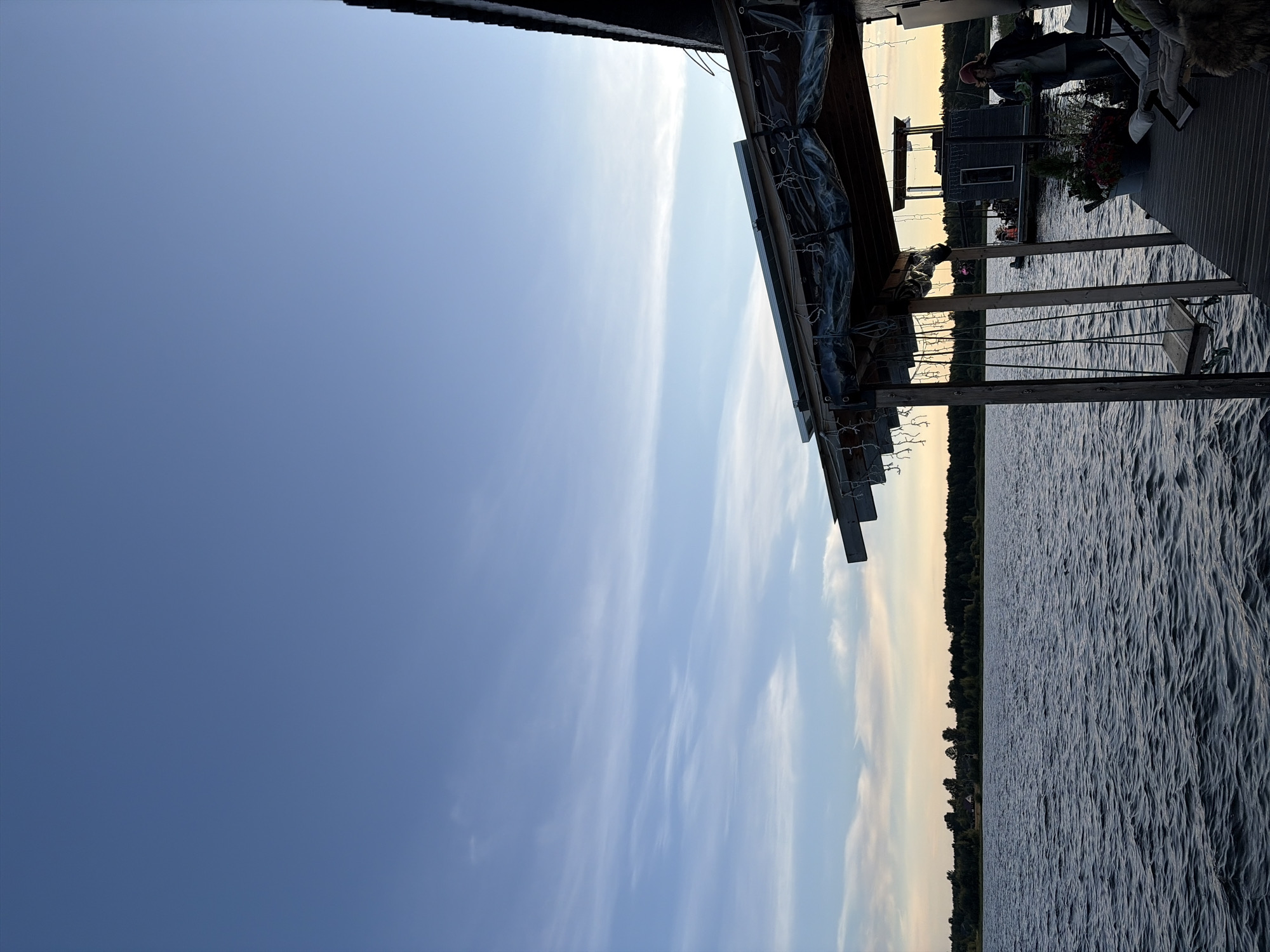 The image shows a waterfront scene in Vidogoshchi, Russia. The foreground features a wooden dock with a small, covered structure that has a swing hanging from it. To the right, on the dock, a person wearing a red hat and a dark jacket is standing near some chairs and potted plants. In the background, a body of water stretches towards a tree-lined horizon. Further out on the water, a small houseboat or floating structure is visible. The sky above is a clear blue with wispy clouds, suggesting it might be late afternoon or early evening.