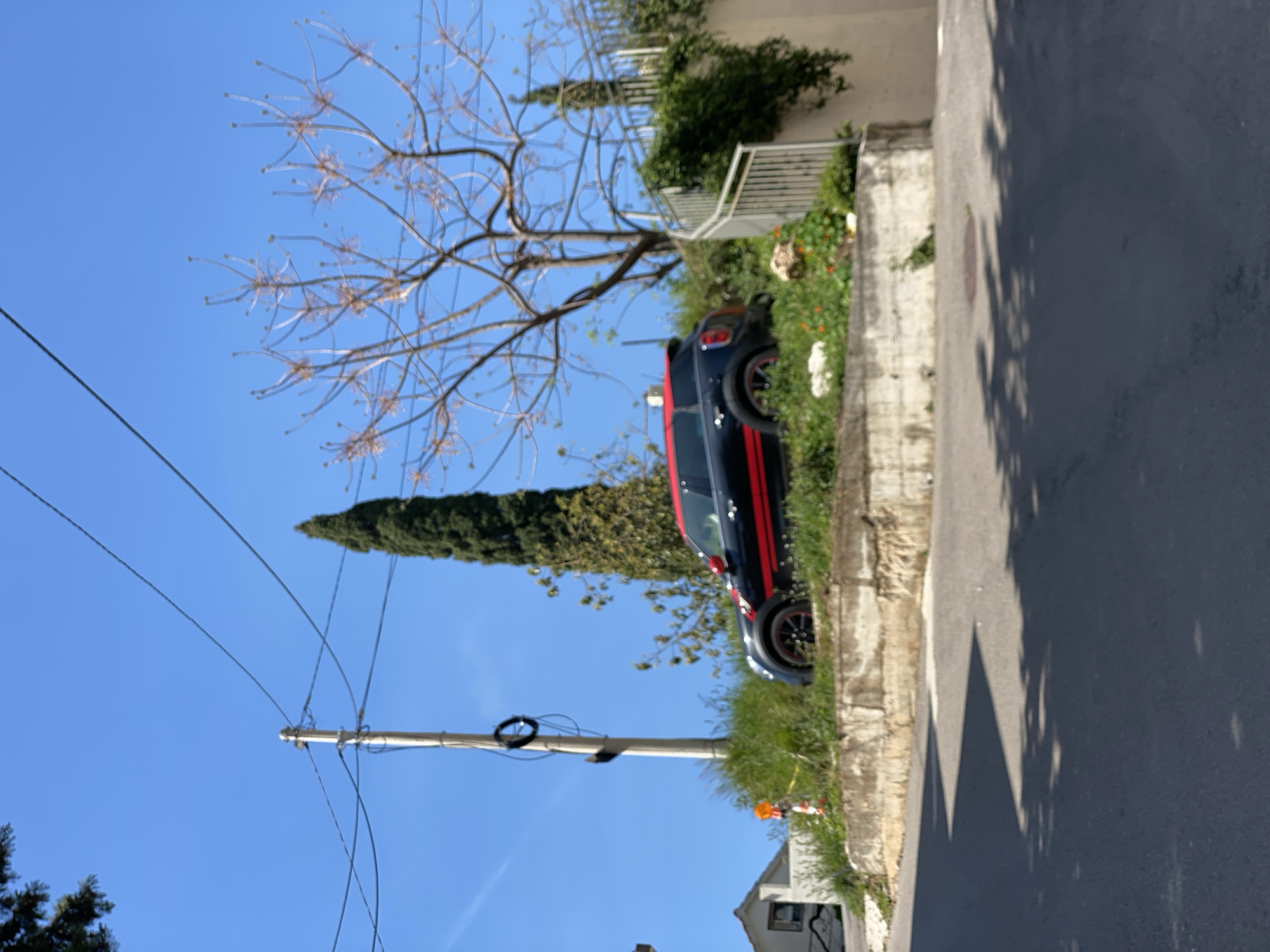 The image shows a street scene in Budva, Montenegro. A black car with a red stripe is parked on the side of the road, partially obscured by vegetation. The road surface is asphalt. A telephone pole with attached wires is visible in the background, along with a tall, thin cypress tree. The sky is clear blue. In the distance, a house is partially visible. The photo is taken during daylight. The roadside has greenery and a concrete edge. A bare tree is positioned to the left of the car.