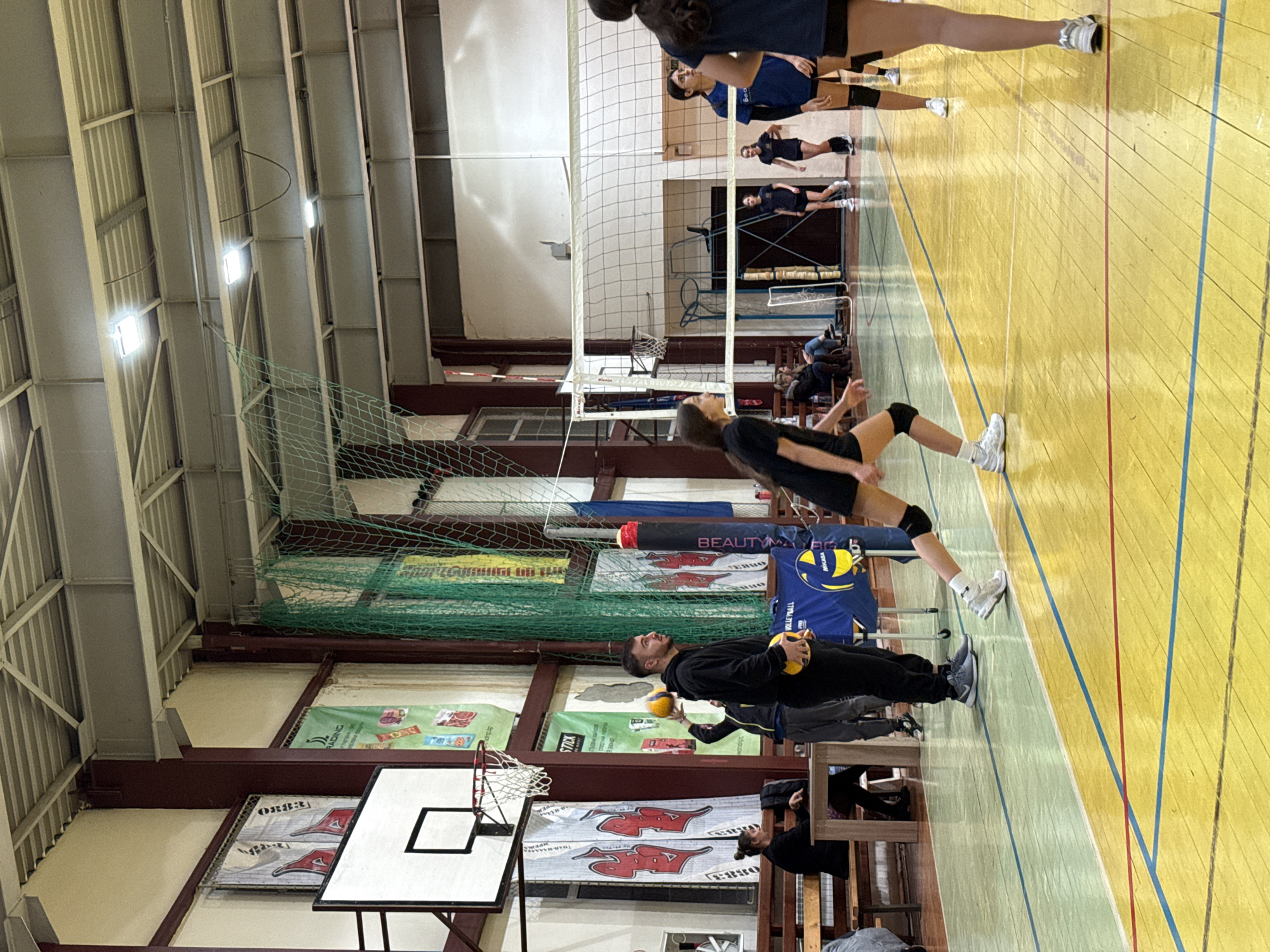 The image displays an indoor sports hall in Sofia, Bulgaria. The facility features a high ceiling with exposed metal trusses and corrugated panels, illuminated by multiple rectangular ceiling-mounted lights. The polished wooden floor is marked with yellow, green, red, and blue lines, indicating courts for multiple sports. A white volleyball net spans the center of the court, supported by padded posts, one displaying a "BEAUTY" logo on a red background. A white basketball hoop with a square black outline and net is affixed to the left wall. Various advertising banners, some containing Bulgarian text and logos such as "STICK," "TRADING," and "MIKASA," are visible along the walls and on vertical structural beams. Green safety netting hangs from the ceiling in the background.
Approximately ten individuals are present. In the foreground on the left, a young female player in a black t-shirt, black shorts, white sneakers, and black knee pads is captured mid-stride, in a ready athletic stance, facing towards the right side of the court. Near the left sideline, an adult male in a black hoodie and dark pants stands, holding a yellow volleyball in each hand, observing the court. Behind him, another male in dark attire is positioned, holding a yellow volleyball above his head. Several other female players in dark sports attire are distributed across the court, some near the net on the right. A blue stand displaying "VOLLEYBALL PRO" and "MIKASA" branding is situated near the net. Along the left wall, a few individuals are seated on wooden benches, with one female positioned at a small wooden table. The scene depicts a volleyball training or practice session.