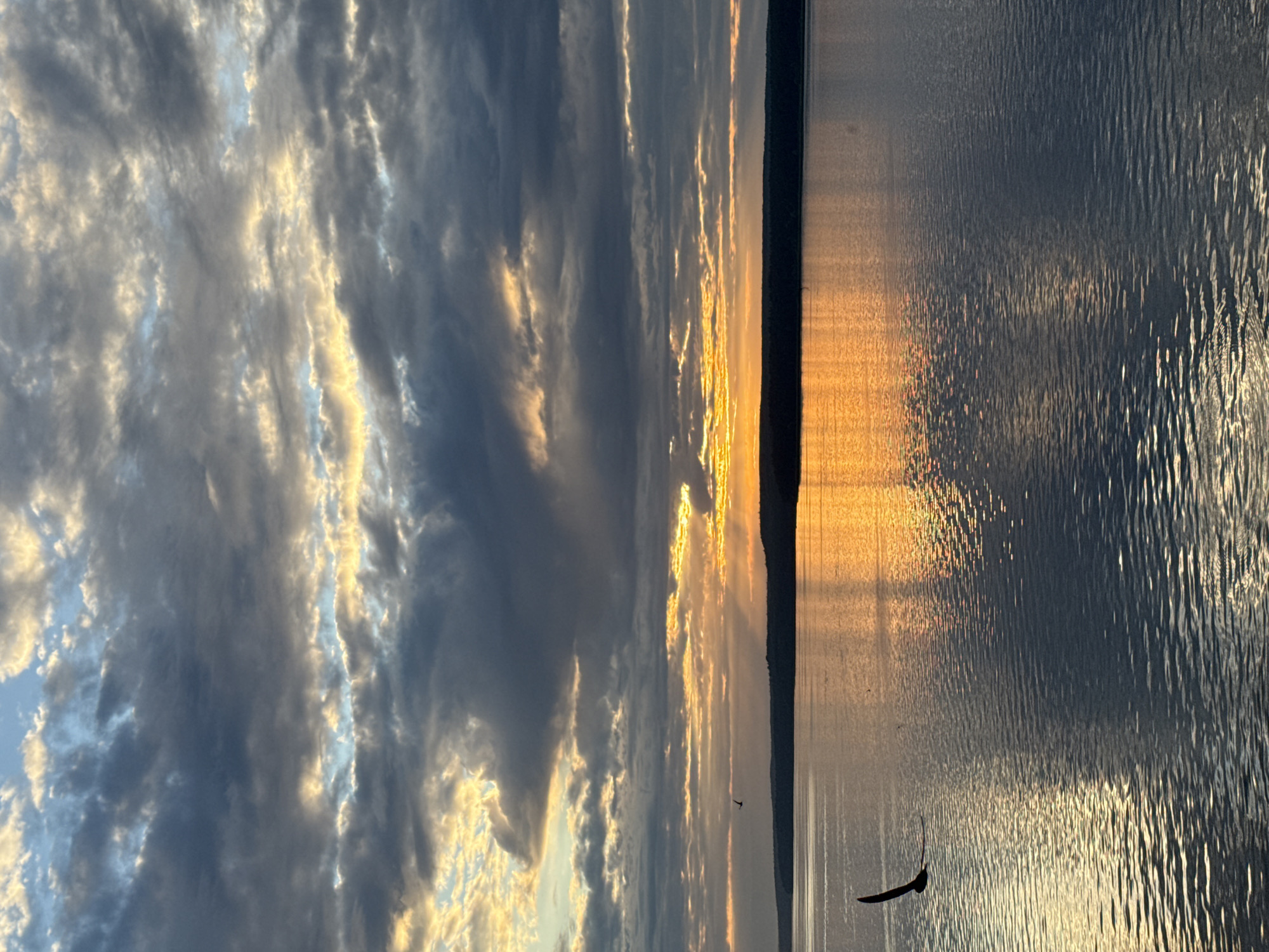A wide-angle, vertical shot captures a serene sunrise over the Kama River near Votkinsk, Russia. The sky is a canvas of dramatic, brooding clouds, interspersed with streaks of bright, golden sunlight that pierce through, casting a warm glow on the water below. The water's surface is calm, reflecting the vibrant hues of the sunrise, with gentle ripples creating a shimmering effect. The distant horizon is marked by a dark, silhouetted tree line. In the foreground, a single bird with its wings spread in mid-flight glides gracefully over the water, adding a dynamic element to the tranquil scene. The overall impression is one of peaceful solitude and the majestic beauty of nature at the dawn of a new day.