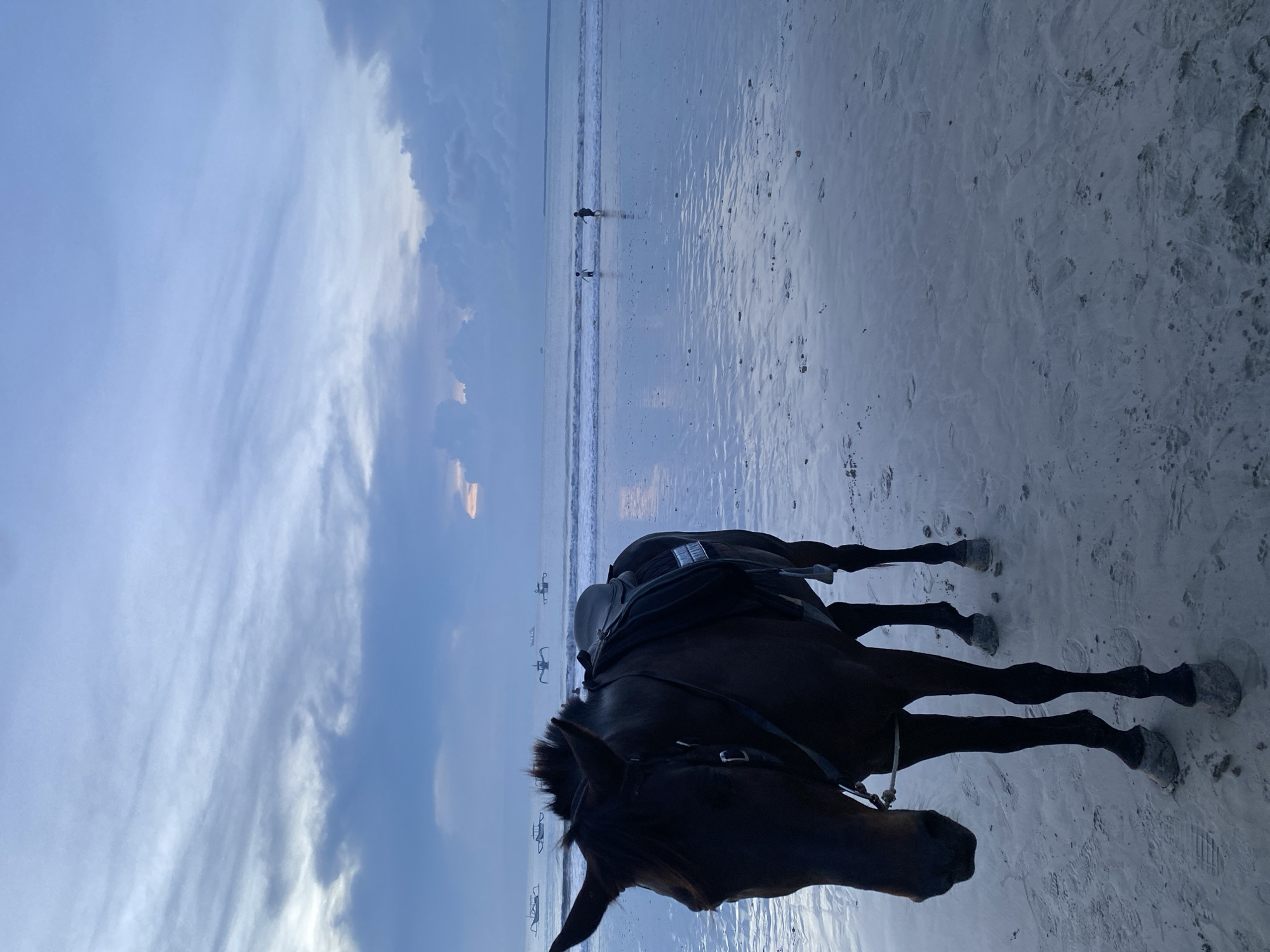 A dark horse with a saddle stands on a beach in Kuta Selatan, Indonesia. The beach has wet sand reflecting the sky. In the distance, the ocean meets the sky, with two figures near the shoreline. Small boats rest near the water's edge. The sky is filled with clouds.