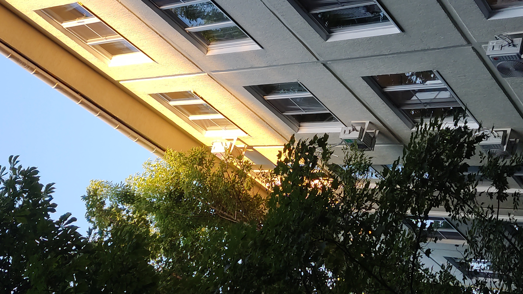 The image shows the side of a multi-story building with a light yellow colored upper facade and a gray lower facade. The building has multiple windows with white frames, some with curtains visible. There are two outdoor air conditioning units mounted on the gray facade. To the left, lush green trees with dark leaves obscure a portion of the building and the sky. Sunlight illuminates the upper portion of the building and some of the tree leaves, creating a warm glow. The sky is clear and blue. The scene appears to be an urban setting, likely residential, in Krasnodar, Russia. There are no people visible in the image.