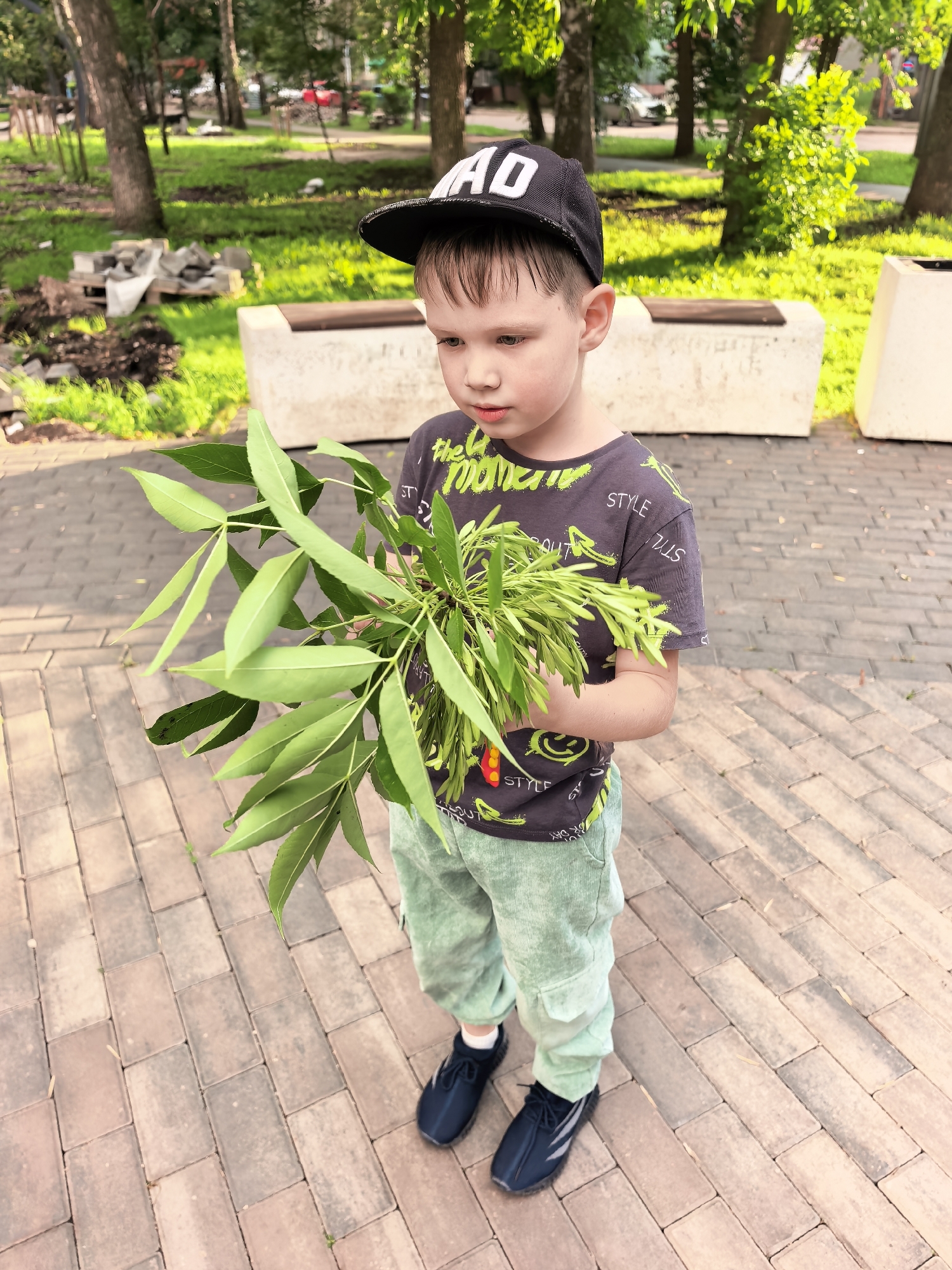 A young boy wearing a black baseball cap and a dark t-shirt with green accents stands on a paved walkway, holding a large bunch of green leaves. He is looking down towards the leaves. The background shows a park-like setting with trees, grass, and concrete benches. There are also some construction materials, including bricks and a pallet, visible to the left of the boy. The lighting suggests it is daytime, possibly late afternoon due to the warm tones. The paving stones are in a rectangular brick pattern.
