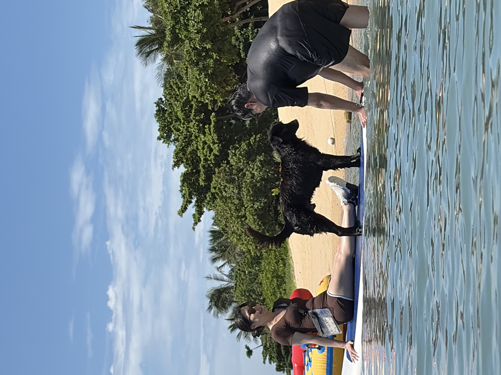 In Ko Samui District, Thailand, two people and a black dog are on a paddleboard in the shallow ocean. The woman, on the left, wears a brown swimsuit and sunglasses, and is sitting with her legs extended on the paddleboard. A clear pouch is attached to her body. The man, on the right, wears a black t-shirt and shorts, and is kneeling on the paddleboard, facing the dog. The black dog stands between them, looking at the man. The paddleboard is on calm water, with a sandy beach and lush green trees in the background. The sky is blue with scattered white clouds.