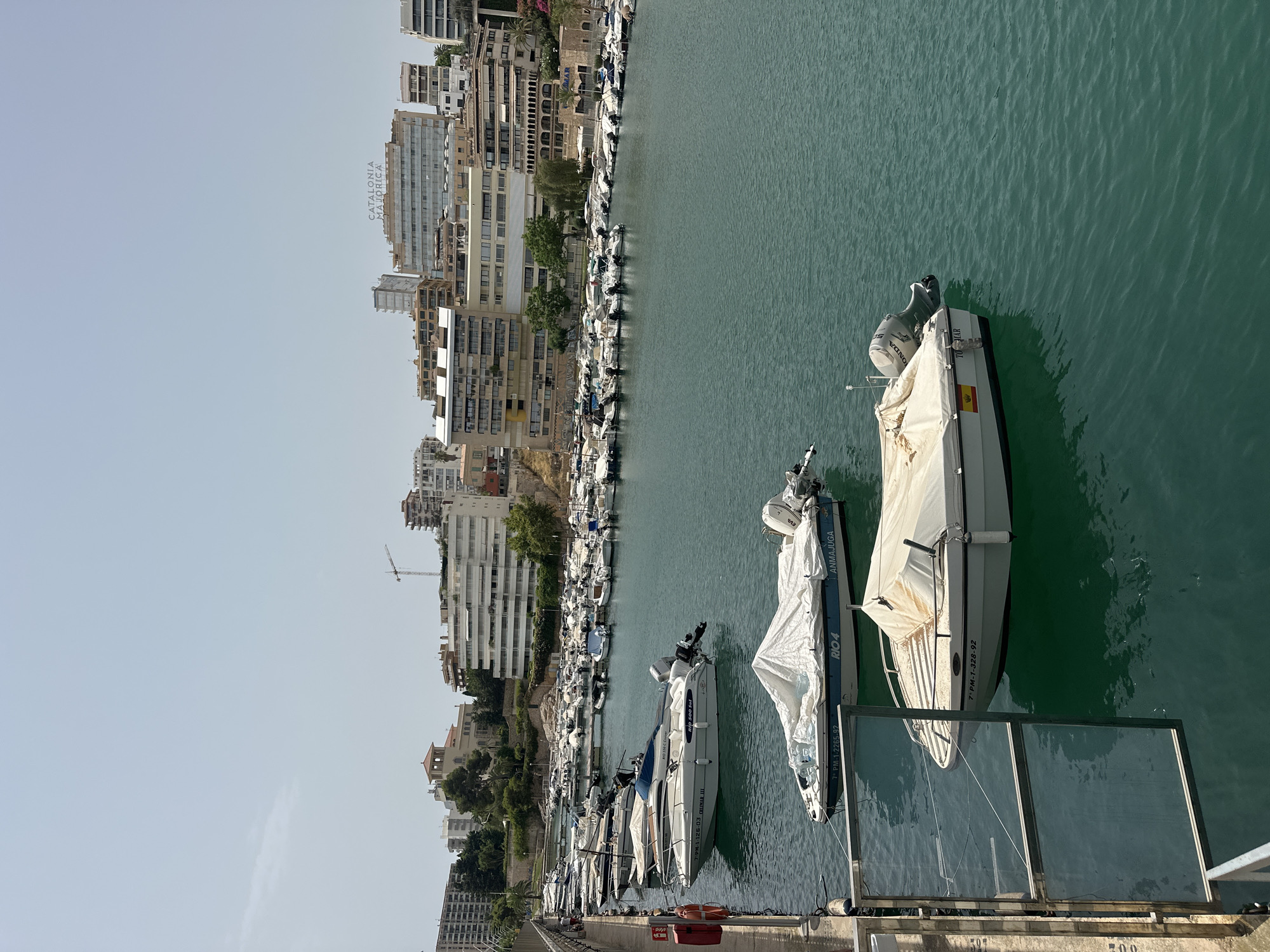 In Palma, Spain, a waterfront scene unfolds in a harbor filled with a variety of boats. The water is a deep turquoise, reflecting the clear, bright sky. Along the shore, a line of buildings rises, a mix of residential and possibly hotel structures, with balconies and windows suggesting a bustling urban environment. A prominent sign on one building reads "CATALONIA MAJORICA."
Several boats are moored in the foreground and middle ground. Some are small motorboats, their hulls a mix of white and blue. Two boats in the immediate foreground are covered with white tarps. One of these covered boats has the registration number "7º PM-1-2265-92" visible, and the word "ANMAJUGA" printed on its side. Another covered boat has "7º PM-1-328-92" printed on its hull. A white boat to the left, partially covered with a blue tarp, displays the text "RIO 500 SSL" and "7º PM-1-125-03." A Spanish flag is affixed to the stern of one of the covered boats.
In the background, a larger collection of boats is densely packed in the harbor. A construction crane is visible rising above the buildings, indicating ongoing development. The overall atmosphere is one of a well-established coastal city, with a lively marina and a backdrop of Mediterranean architecture under a summery sky. A metal railing and a safety gate are present on the left side of the image, suggesting a pedestrian walkway or docking area. Red and orange life preservers are mounted on the wall near the gate.