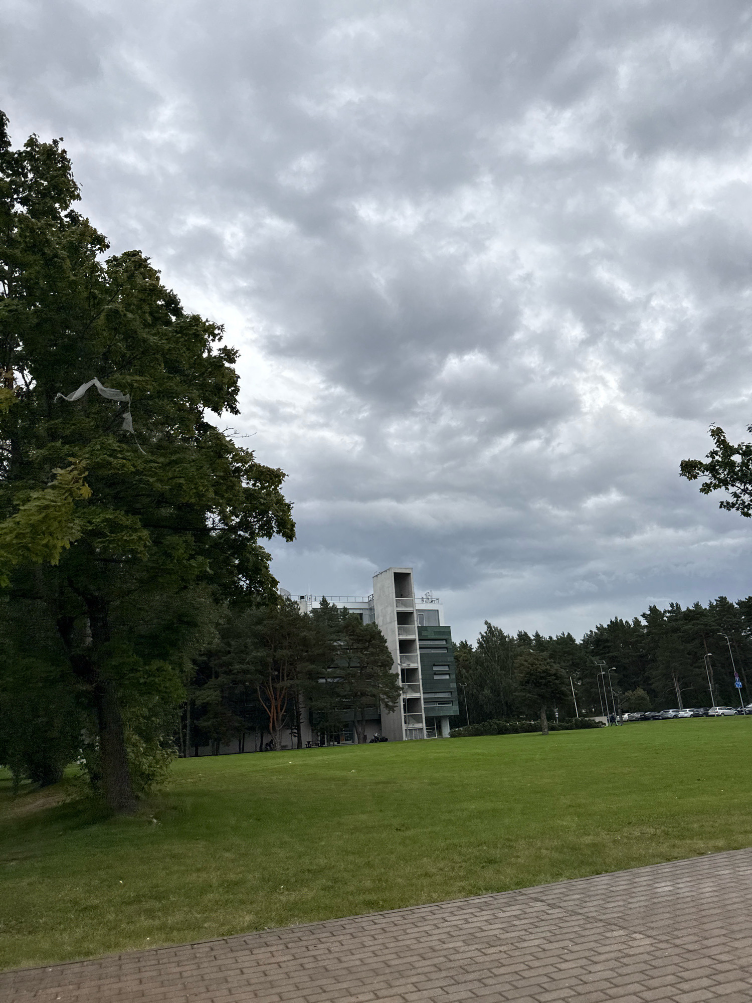 The image depicts an outdoor scene with a paved walkway in the foreground, a large expanse of green grass in the mid-ground, and a line of trees and buildings in the background. The sky is overcast with gray clouds. On the left side of the image, a large tree with dark green foliage is prominent. White fabric is draped on some of the branches of this tree. Behind the grassy area, a modern building with a white, multi-story facade and green accents is visible. To the right of this building, a dense line of evergreen trees stretches across the background, with some streetlights and parked cars visible beyond the trees. The overall impression is of an urban or suburban park-like setting on a cloudy day. The image appears to be taken in Tallinn, Estonia, judging by the architectural style of the building and the types of trees.
