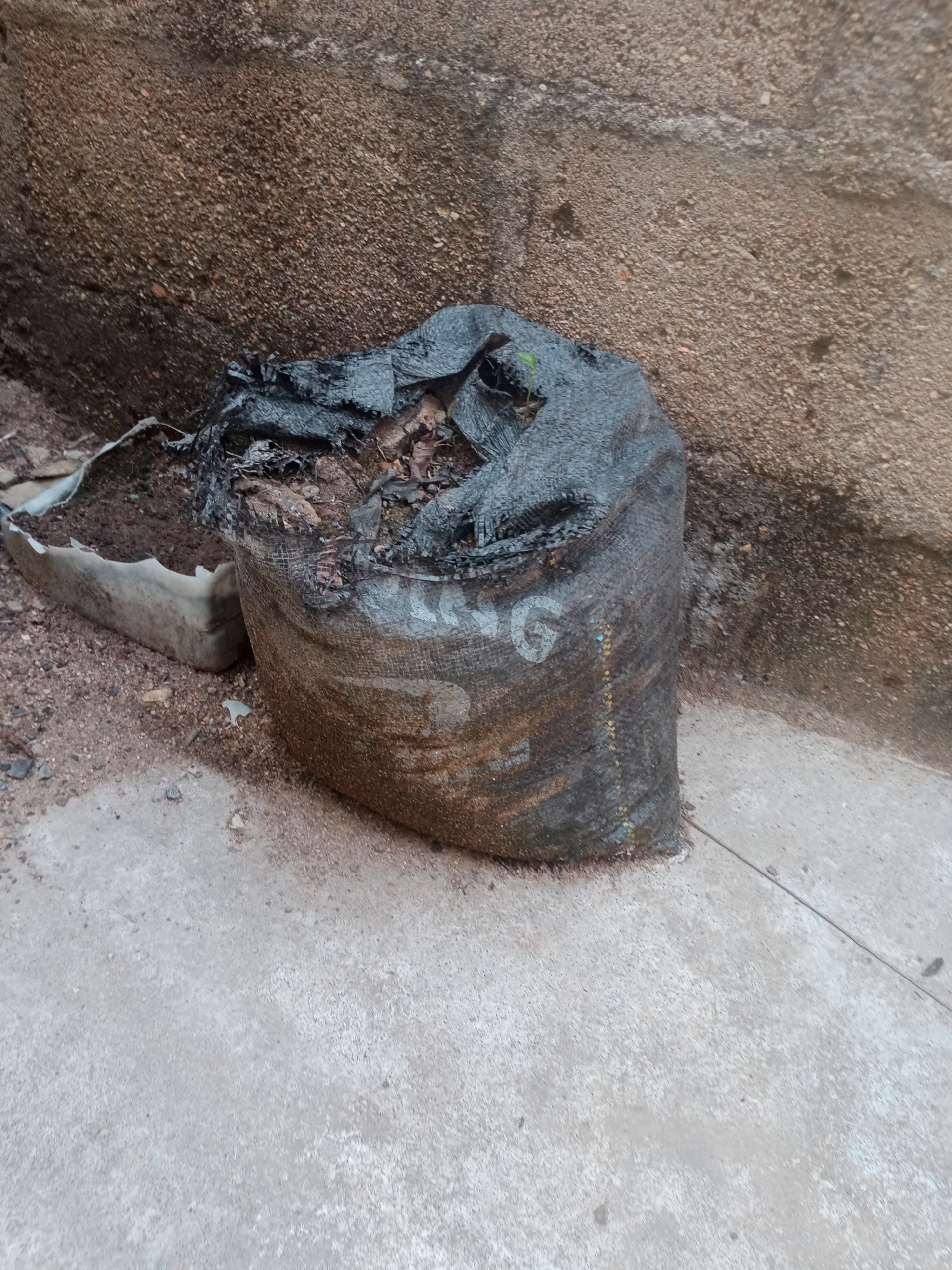 A black mesh bag filled with dark soil and debris is situated on a light gray concrete surface. To the left of the bag, a portion of a white plastic container, also holding dark soil, is visible. The background consists of a textured, reddish-brown wall. The scene appears to be outdoors, possibly in a yard or an alleyway in Jalingo, Nigeria, given the arid-looking wall and concrete ground. There are no people or animals present in the image. The lighting suggests it is daytime.