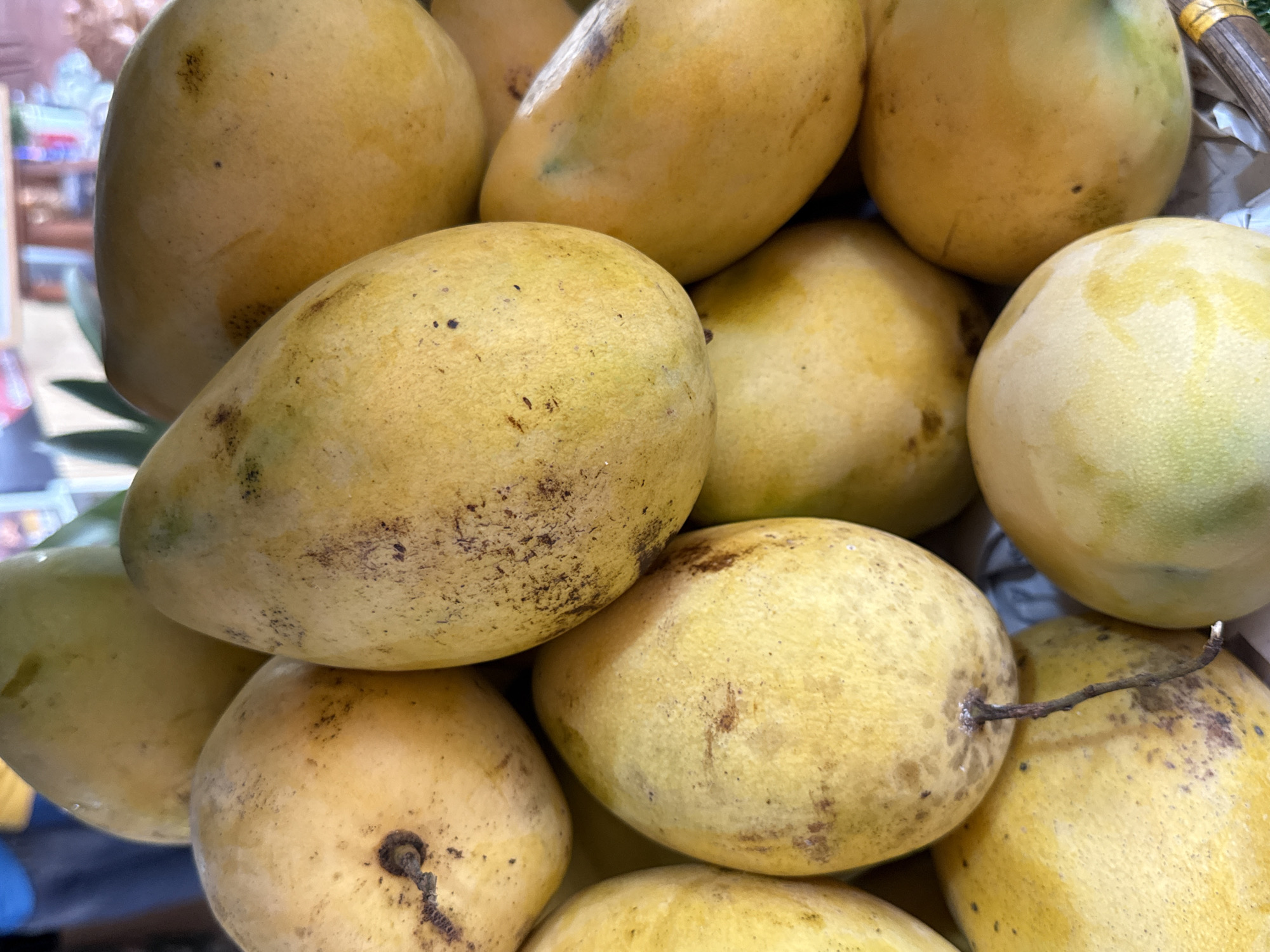 A close-up, eye-level shot shows a pile of ripe yellow mangoes. The mangoes have a smooth skin with some minor blemishes and speckles of brown. Their shapes vary, with some being more rounded and others more elongated. In the background, out of focus, are glimpses of a market stall, including a blurred figure in a blue shirt and hints of wooden structures and foliage. The lighting suggests an outdoor environment, likely in a market in Nam Khanh Vinh, Vietnam.