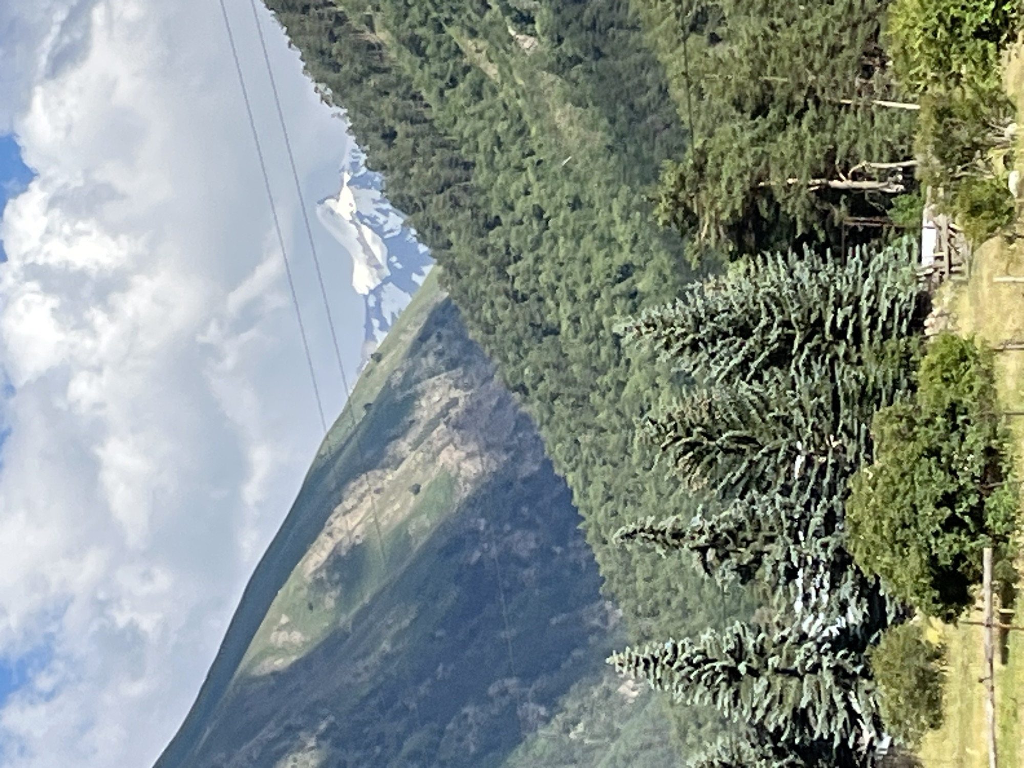 The image depicts a mountainous landscape, likely in Tegenekli, Russia. In the foreground, a cluster of evergreen trees stands tall, with some appearing to be pine or fir trees. Behind them, dense green foliage covers the lower slopes of a mountain. Further in the background, a snow-capped mountain peak is visible against a partly cloudy sky. Power lines stretch across the frame, indicating human infrastructure in the area. The lower part of the image shows a grassy field with a rustic wooden fence. The scene is natural and serene, with a focus on the grandeur of the mountains and the lush greenery.
