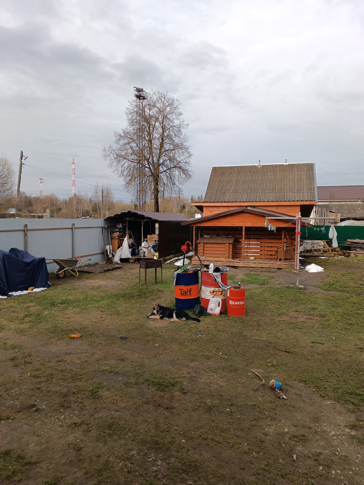 The image depicts a backyard in what appears to be a rural or semi-rural setting, likely in Andreyevo, Russia. The sky is overcast and gray. A wooden house with a brown roof is visible in the background, as well as a fenced-off area. In the foreground, there is a grassy yard with patches of bare dirt. Several objects are scattered around the yard, including three metal barrels with "Taif" and "Lukoil" labels, suggesting they contain petroleum-based products. A black and tan dog is lying near the barrels. A small table and grill are located near a shed. Various items are stored in the shed, including what appears to be a covered vehicle or piece of equipment. A wheelbarrow is visible near the fence. In the distance, a communications tower rises above the trees.