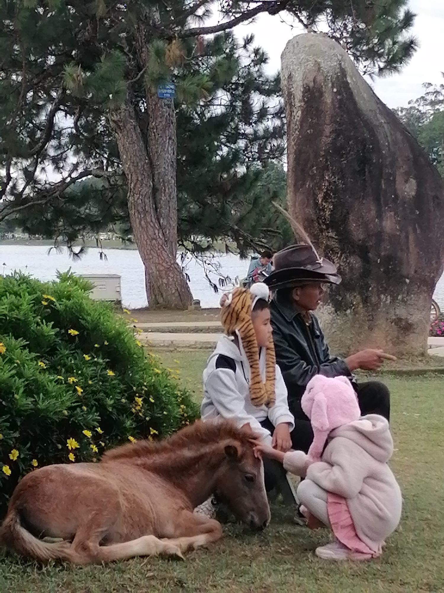 Memory