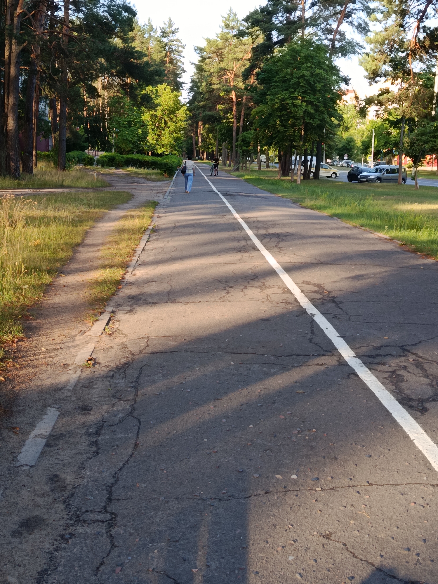 A paved pathway, likely a bike path, runs through a park-like area with mature pine trees lining both sides. The pathway is marked with a solid white line down its center and appears to be cracked in several places. To the left of the paved path is a narrower, unpaved dirt and grass path. In the background, beyond the trees on the right, a street with parked cars and buildings is visible.
Two individuals are present on the paved pathway, both in the distance. One person, wearing jeans and a light-colored shirt, is walking away from the camera towards the background. Further ahead, another person is riding a bicycle. The sun is casting long shadows across the pathway, suggesting it is either early morning or late afternoon. The environment is green and appears to be a recreational area within a city, possibly Svietlahorsk, Belarus.