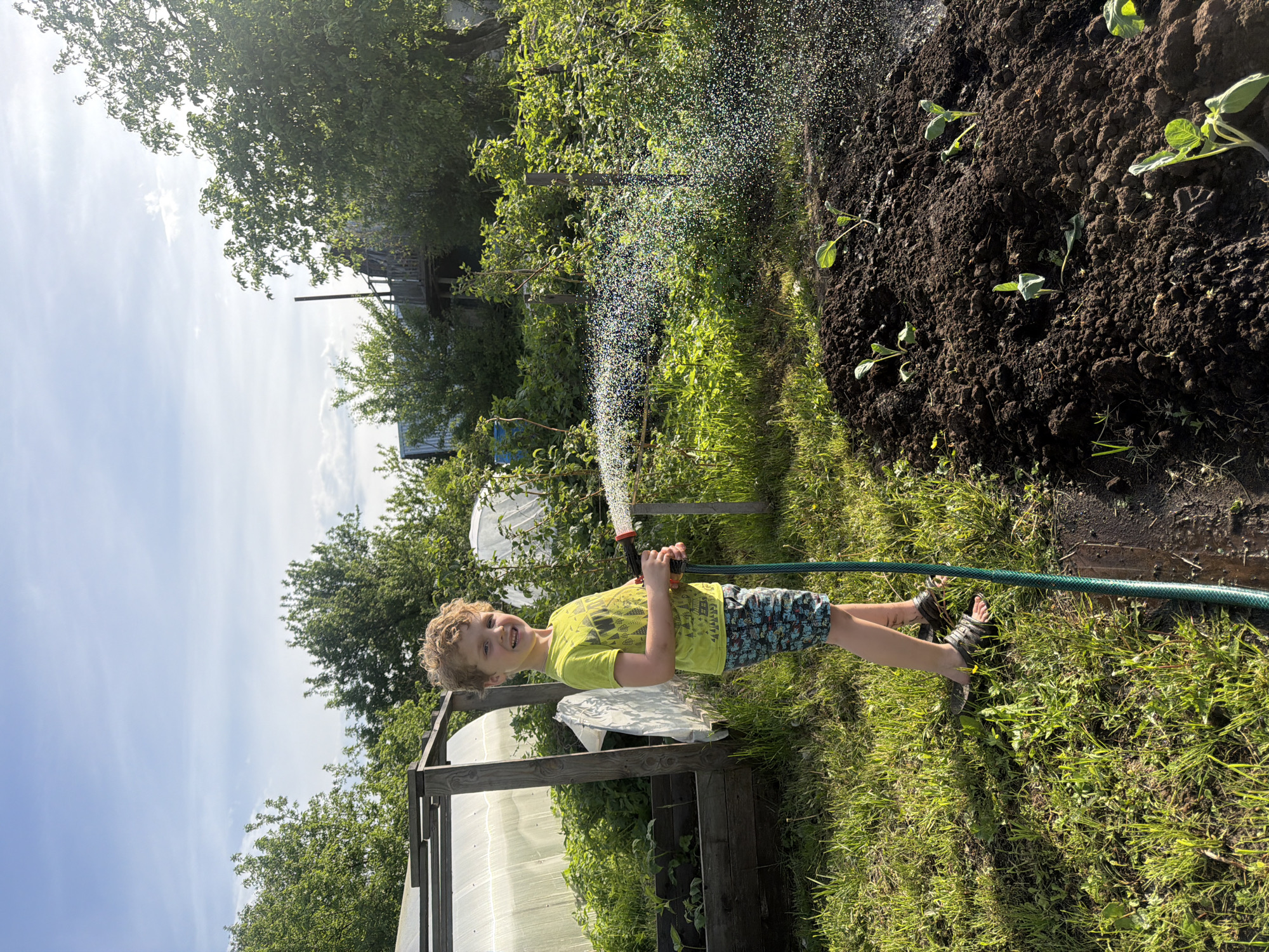 A young boy in a yellow t-shirt and patterned shorts stands in a garden in Chaikovsky, Russia, holding a green garden hose and watering newly planted seedlings in a freshly tilled patch of dark soil. He is smiling at the camera. The background includes a variety of trees and shrubs, a greenhouse structure, and a raised wooden garden bed. The sky is partly cloudy.