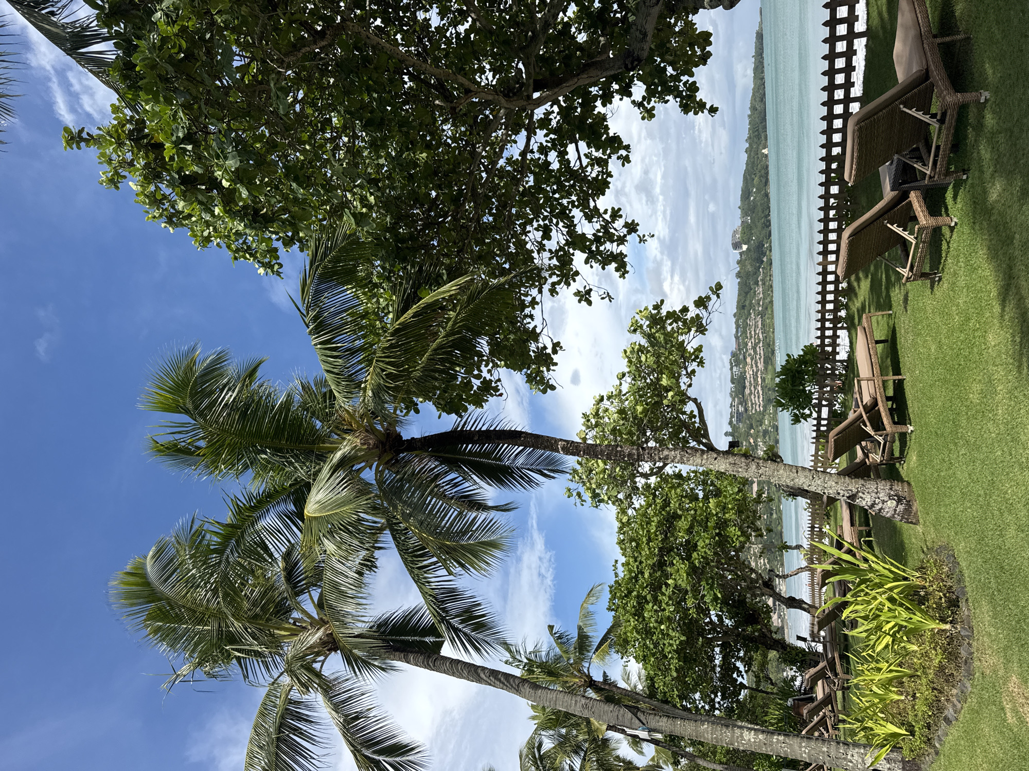 The image shows a seaside scene in Kuta Selatan, Indonesia. In the foreground, several palm trees stretch upwards, their green fronds reaching towards a bright blue sky with scattered clouds. To the right, a lush green lawn is furnished with several wicker lounge chairs, positioned to face the ocean. A white picket fence separates the lawn from the beach and the turquoise waters of the ocean, beyond which a stretch of coastline is visible. The area is also populated with diverse trees and foliage.