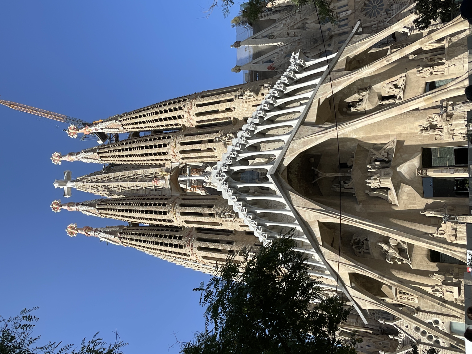 The image captures a low-angle, outdoor view of the Sagrada Familia basilica in Barcelona, Spain. The sky is a clear, vibrant blue, suggesting fair weather. The time of day appears to be morning or early afternoon, indicated by the bright sunlight casting distinct shadows on the intricate facade of the basilica.
The primary subject is the impressive architecture of the Sagrada Familia, with its unique spires adorned with detailed carvings and a bright white, decorative element running along the top. The spires are segmented and appear to have many openings or windows. A large construction crane is visible in the upper left portion of the image, suggesting that construction or restoration work is ongoing at the basilica.
The facade itself is richly ornamented with sculpted figures and architectural details, showcasing a complex and ornate Gothic-inspired style. The stonework is a light tan color, highlighting the textures and deep recesses of the carvings. In the foreground, lush green foliage from trees partially obscures the lower sections of the basilica, adding a natural element to the scene.
The overall impression is one of grandeur, artistry, and ongoing development. The clear sky and bright light contribute to a feeling of awe and wonder at the scale and detail of the architectural masterpiece. No visible text is present in the image.