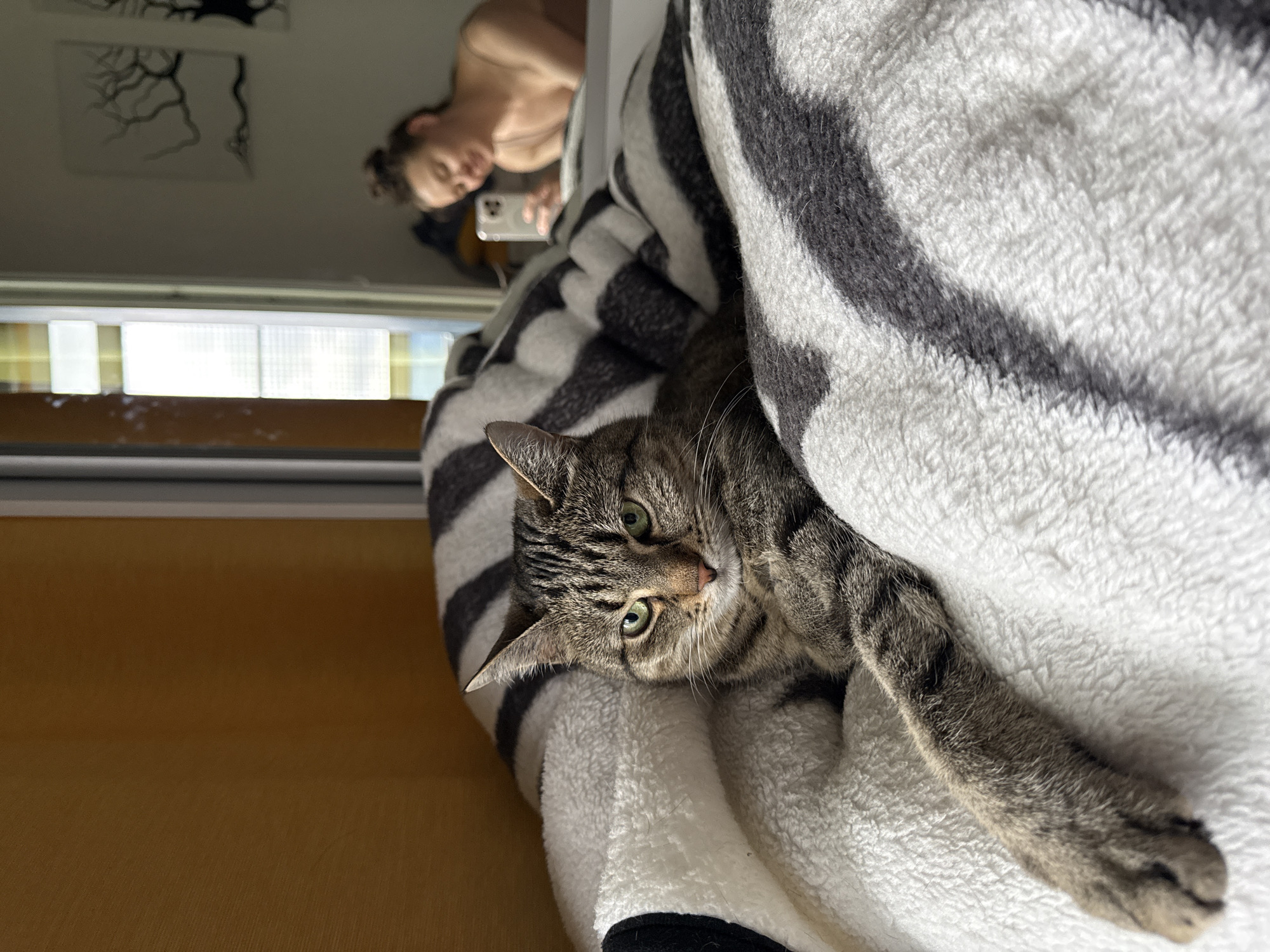 A tabby cat is resting on a bed with a zebra-striped blanket. The cat is in the foreground, with its face looking towards the camera. Its left paw is extended. In the background, a woman is visible in a mirror, taking a selfie with her phone. The room appears to be a bedroom. The overall lighting suggests it is daytime, with sunlight streaming in from a window.