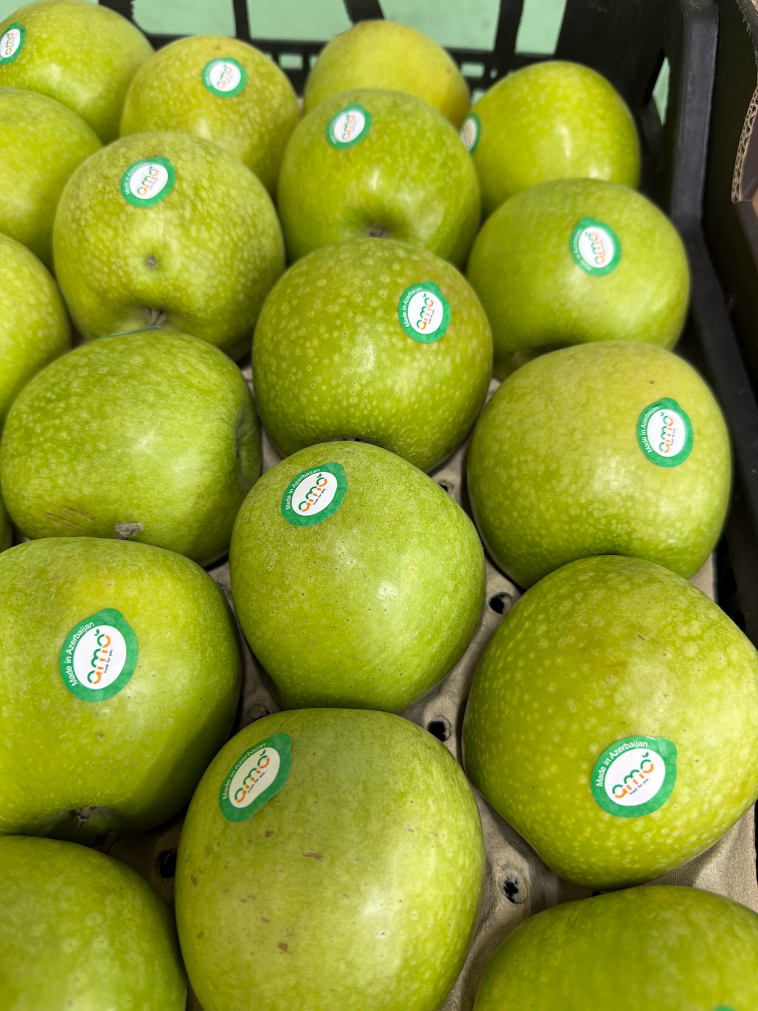 A close-up, top-down view captures a crate of bright green apples, with several apples prominently displaying a circular green sticker that reads "amo, Made in Azerbaijan, Fresh for you". The apples are packed tightly together, filling the frame. Some apples are partially obscured by others, creating a sense of abundance. The lighting is even and bright, highlighting the smooth, vibrant skins of the fruit. The background consists of the dark plastic crate and some cardboard dividers, suggesting a retail or storage setting. No people or any indications of a specific location in Pavlodar, Kazakhstan are visible in the image.