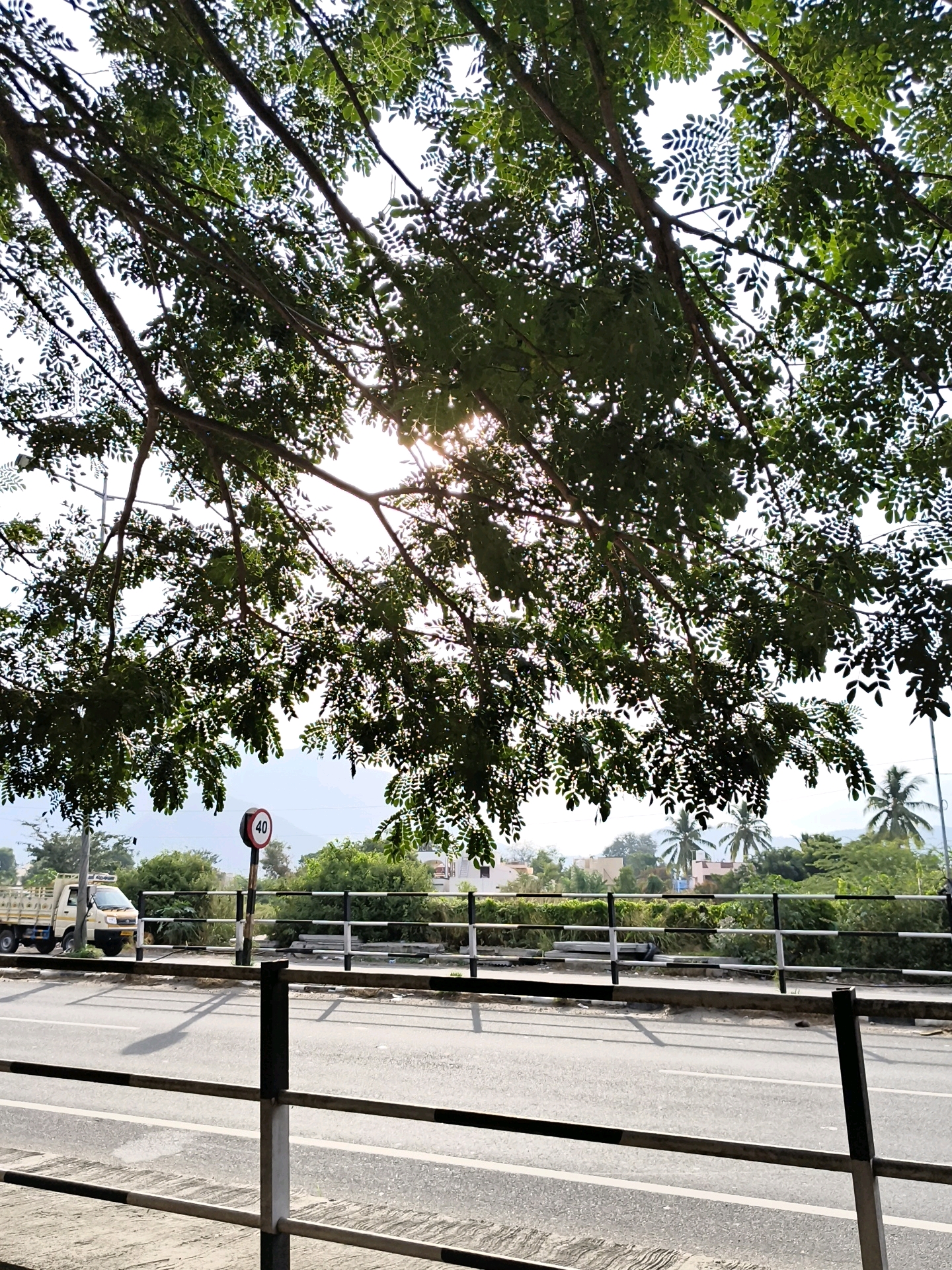 An eye-level, medium shot captures a street scene in Gudalur, India, under the canopy of a leafy tree with sunlight filtering through. A grey asphalt road occupies the foreground, marked with white lines. A black and grey metal railing runs along the bottom of the frame. Behind the railing is a pedestrian walkway, then another black and white metal railing separating the walkway from the road. Further back, a beige truck with a yellow cab and a flatbed trailer is parked on the side of the road. A circular speed limit sign with "40" in red and black on a white background is posted on a pole. Lush green trees and some buildings are visible in the background, with a hazy mountain range in the distance. The sky is bright and overcast.