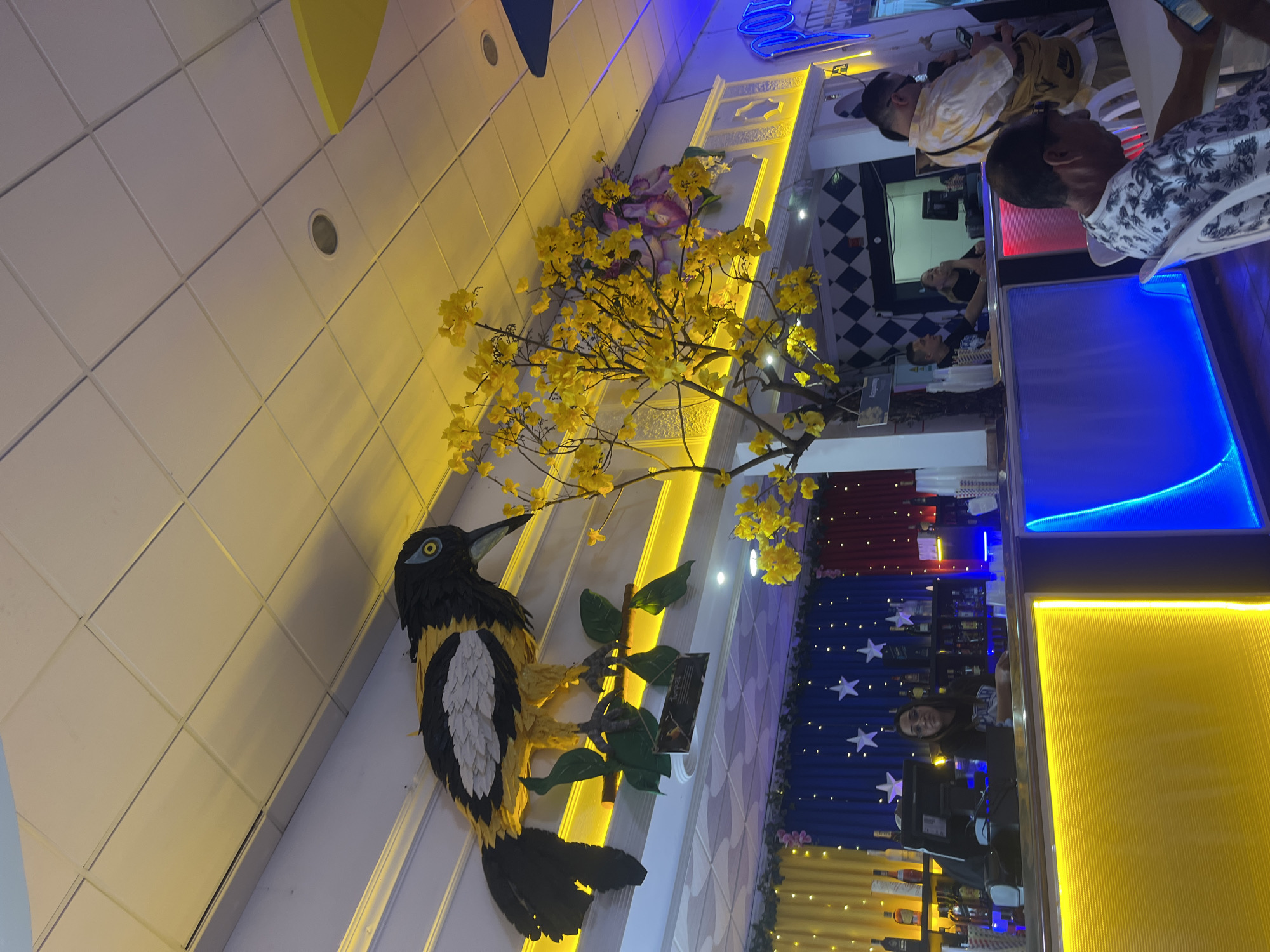 This image depicts the interior of a vibrant restaurant or bar, likely in Fuengirola, Spain, characterized by its distinctive decorative elements and lively ambiance. The setting features a blend of bright yellow and cool blue neon lighting that illuminates the space, suggesting an evening scene.
A large, colorful sculpture of a bird, predominantly black and yellow with white markings, is a central decorative piece, appearing to perch on an artificial green branch mounted on a white textured wall. Extending from the wall, a significant artificial branch adorned with numerous bright yellow flowers adds a natural yet stylized touch to the decor. The ceiling is made up of white square tiles with integrated recessed lights.
Several people are visible within the establishment. In the foreground and mid-ground, two men are seated at tables; one wears a patterned shirt, and the other is in a light-colored top, seemingly engaged in casual conversation or using their mobile phones. Further back, a woman is seen behind a counter, possibly a bar, looking towards the camera. Other patrons are seated in the background.
Behind the bar counter, a striking wall feature displays panels reminiscent of the Venezuelan flag, with distinct red, blue (adorned with white stars), and yellow sections, in front of which shelves hold various bottles. The bar itself is accented with glowing blue and yellow panels. The overall atmosphere appears casual and inviting, with a strong, themed aesthetic that could appeal to a Venezuelan community, given the flag-like motif. No discernible text is clearly visible in the image.
