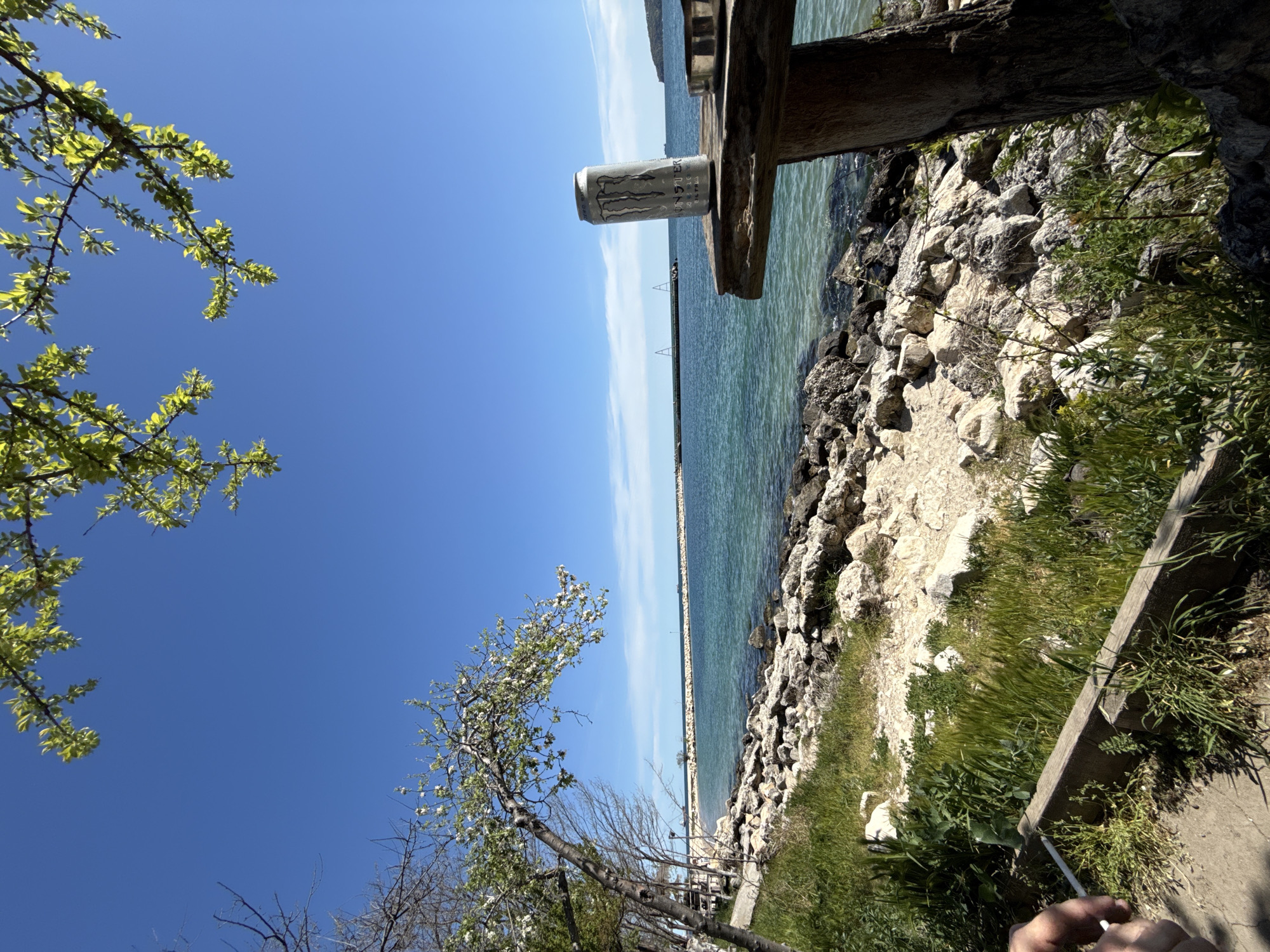 The image is oriented vertically (rotated 90 degrees clockwise from a typical landscape orientation) and depicts a serene coastal scene in Varna, Bulgaria, under a clear blue sky.
The upper portion of the frame is dominated by a bright blue sky, partially framed by fresh green leaves of tree branches in the top left, and more sparse branches, some with white blossoms, further down on the left. The sun appears high, casting strong light.
Across the mid-ground, a calm body of water, likely the Black Sea, extends horizontally, exhibiting clear turquoise and blue hues. A long, dark breakwater or pier stretches far into the distance across the water.
The foreground and lower right section feature a rugged shoreline composed of light-colored rocks and boulders, interspersed with patches of green grass and other vegetation. A sturdy wooden beam, possibly part of a bench or railing, is visible in the upper right, and resting on it is a silver Monster Energy drink can, with "MONSTER ENERGY" clearly visible on its side.
In the bottom right corner, a human hand is partially visible, holding a slender white object, which appears to be a cigarette or vape. The hand is positioned near a concrete or wooden edge, suggesting a path or viewing spot along the coast. The overall scene suggests a peaceful, sunny daytime moment by the sea.