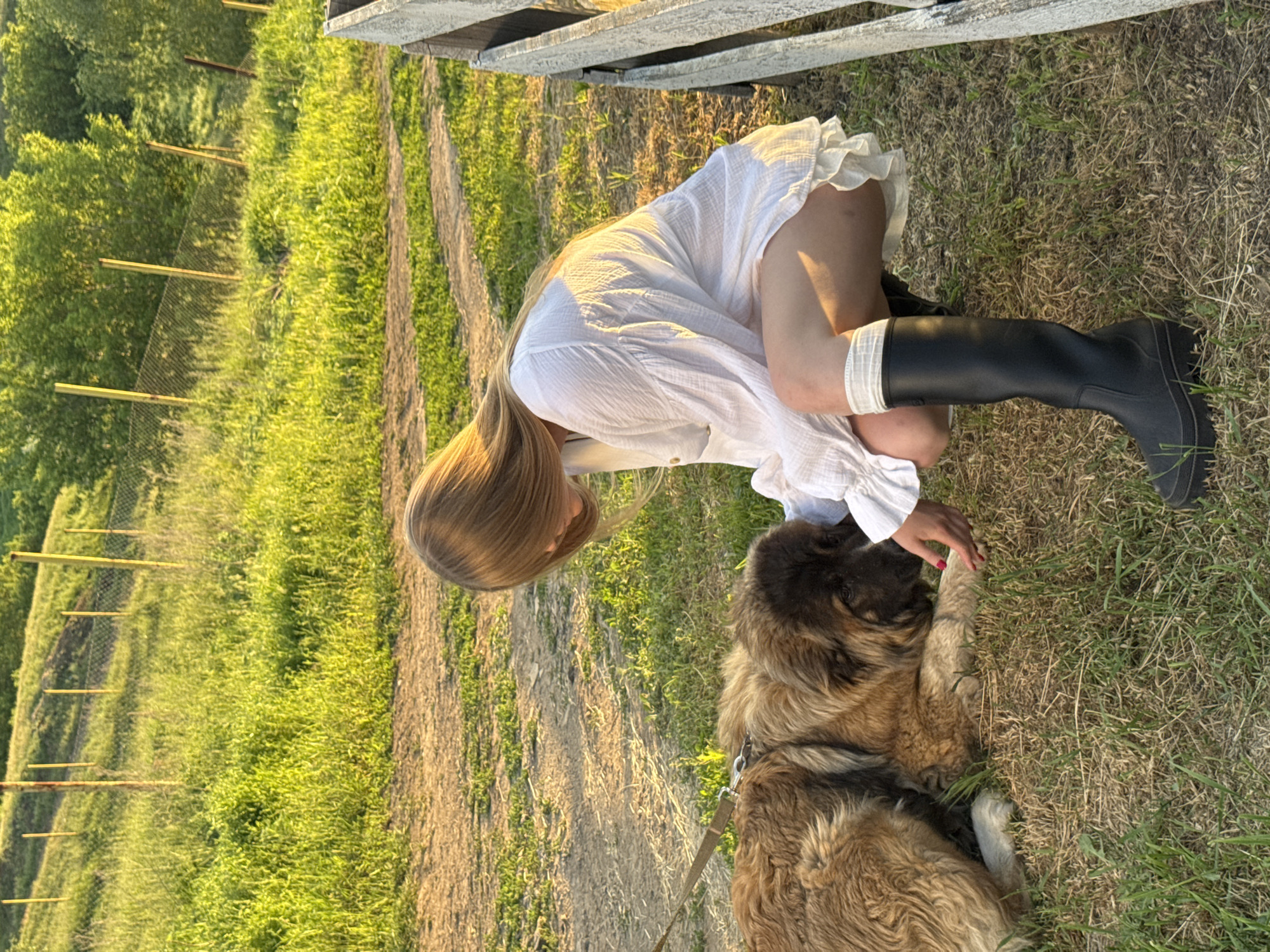 The image shows a person in a white dress and black boots kneeling on a grassy area next to a large dog. The person is interacting with the dog, possibly petting it. The background includes a fence, a dirt path, and green vegetation suggesting a rural or semi-rural setting. Based on the presence of natural elements like grass, trees, and a dirt path, the location is likely in a more peripheral or suburban area of Ust'-Kurdium.