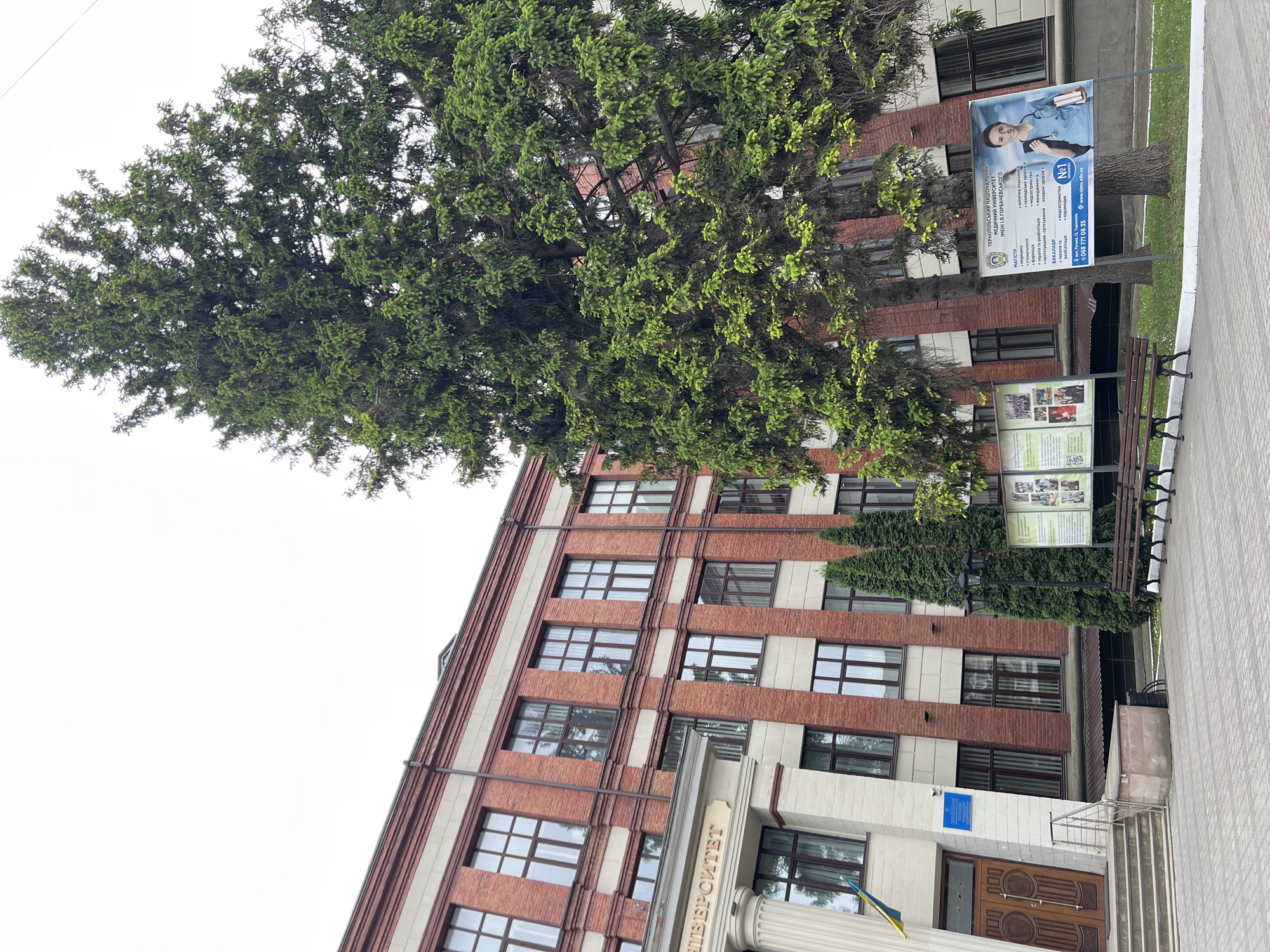 The image captures a building, presumably an educational institution, identified as the Ternopil National Medical University named after I.Ya. Horbachevsky, as evidenced by the sign near the entrance. The building features a facade of red bricks and light-colored stone, with several windows visible on multiple floors. A large, leafy tree partially obscures the building. Signboards are positioned near the building, advertising the university's programs at the bachelor's and master's levels, including fields such as medicine, pharmacy, and rehabilitation. The Ukrainian flag is visible near the entrance. The building is located at 12 Ruska Street, Ternopil, Ukraine, as indicated on the advertisement. The scene is outdoors on a clear day. The image is taken at an angle, showing the building and the surrounding environment.
