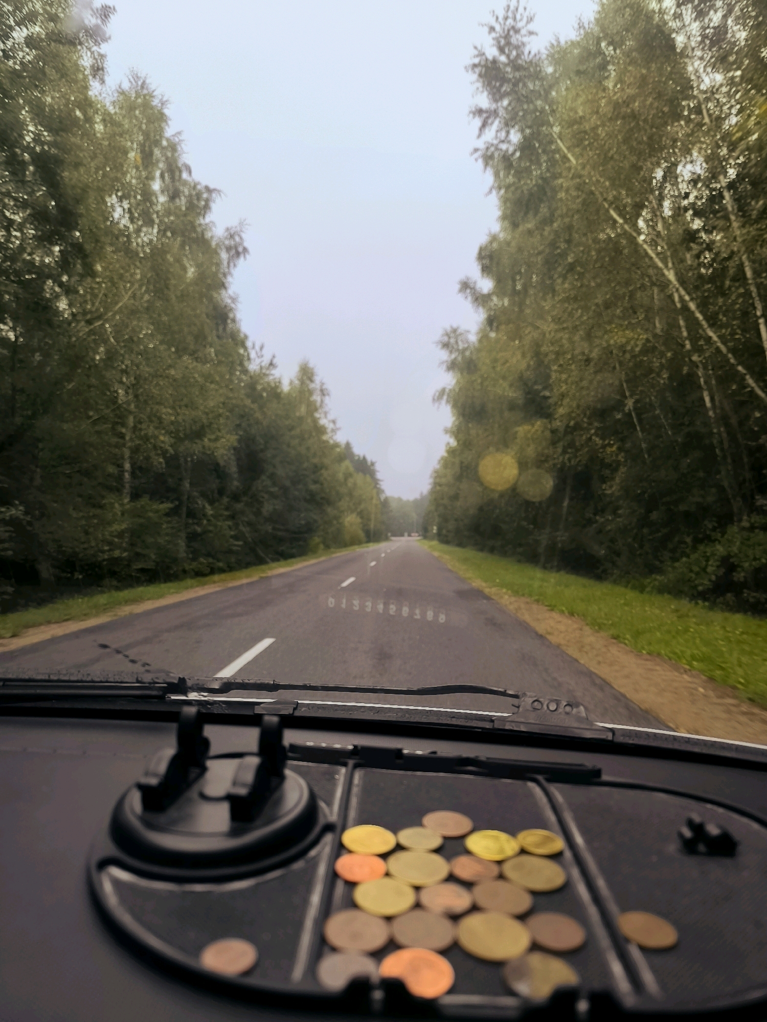 The image is taken from the perspective of someone inside a vehicle, looking forward through the windshield. The windshield has visible raindrops and a wiper blade. On the dashboard in the foreground, a black phone holder is mounted, and to its right, a collection of assorted coins, mostly copper and gold in color, are scattered in a tray.
The road ahead is asphalt, with a white line marking the lanes. On either side of the road, dense green trees line the way, forming a canopy that partially obscures the sky, which appears overcast and gray. The overall environment suggests a rural or forested road, likely in Belarus, given the reference to Tarnowski Sel'skiy Soviet. There are no people visible in the image, and no actions are being performed. The scene is static and depicts a view from a moving vehicle.
