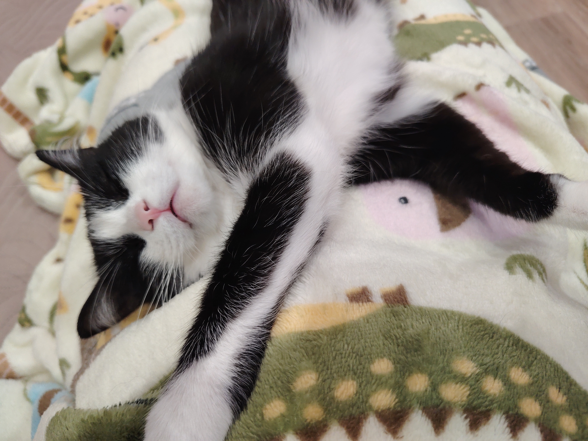 A black and white cat is sleeping on a white blanket with a colorful pattern of cartoon animals. The cat is lying on its back with its legs outstretched and its head tilted to the side. The blanket is soft and fluffy, and the cat appears to be very comfortable. The background is a blurred wooden surface. The scene is peaceful and serene.