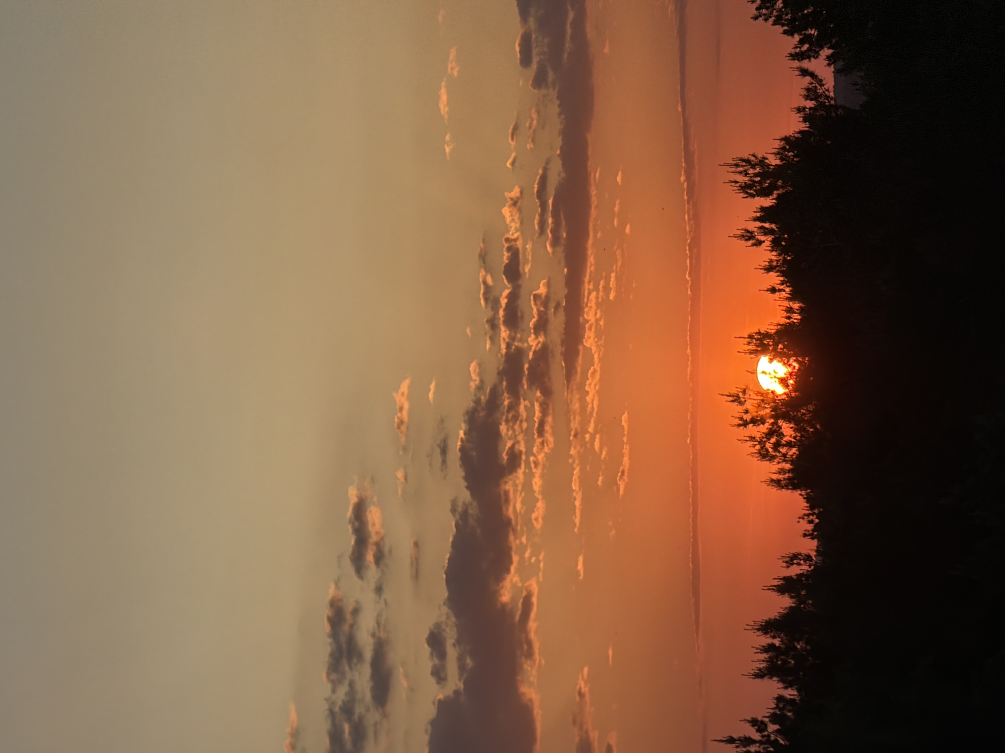 The image depicts a sunset viewed from what may be Chaikovsky, Russia, given the prompt. The sun, appearing orange, is partially obscured by a treeline silhouette on the right side of the frame. The sky transitions from a pale beige color on the left to a deep orange hue towards the center where the sun is setting. Scattered clouds with orange-tinged edges are visible in the central part of the sky. The scene is set in an outdoor environment. No people or their actions are apparent.