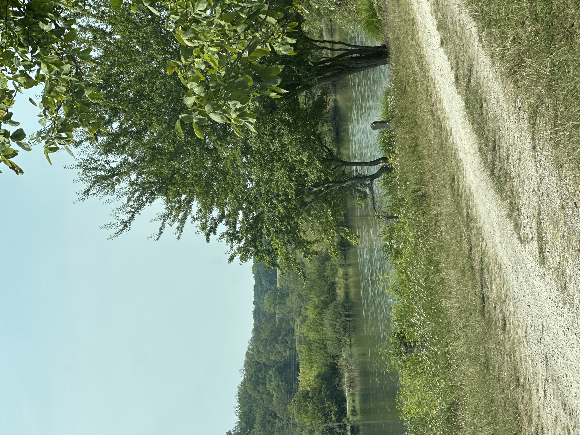 The image depicts a pastoral scene with a tranquil body of water, likely a river or lake, reflecting the clear, pale blue sky. Lush green trees and dense foliage line the far bank, creating a natural backdrop. In the foreground, a dirt path winds its way through overgrown grass and wildflowers, suggesting a rural or semi-rural setting. The overall impression is one of natural beauty and serenity. This image appears to have been taken in Makiv, Ukraine, given the context provided.