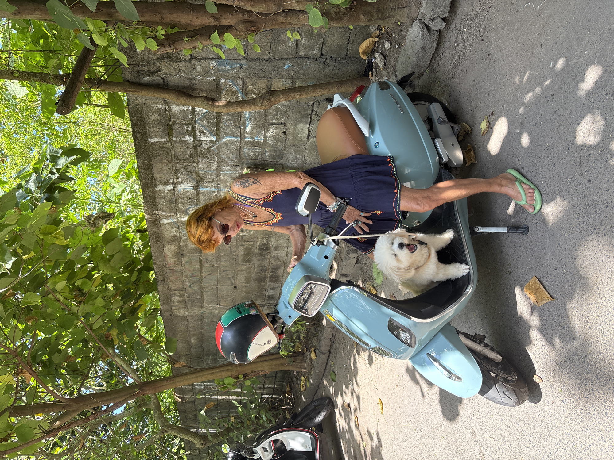 A fair-skinned woman with reddish-blonde hair, sunglasses, and a tattoo on her left arm is positioned on a light blue scooter. She is wearing a navy blue dress with colorful embroidery. A small white dog is situated in the scooter's footwell. The scooter is parked on a paved road next to a concrete wall and foliage. A motorcycle with a white and black color scheme is visible near the scooter. A helmet with red, green, and black stripes sits on the scooter. The setting appears to be in Denpasar, Indonesia.