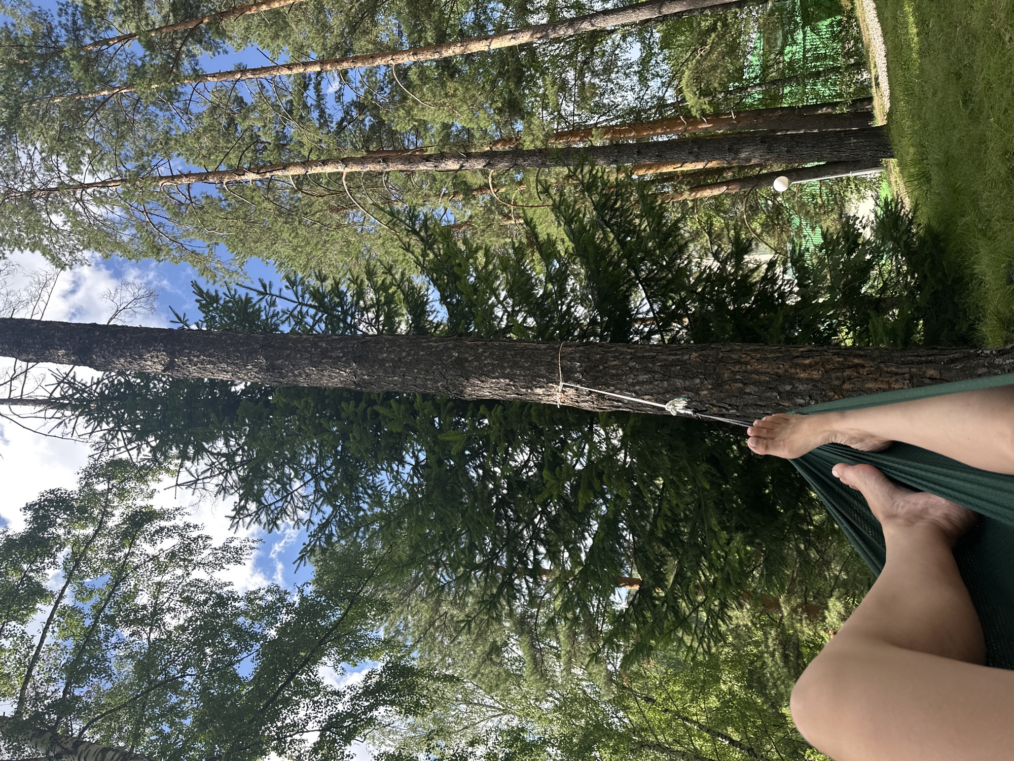 The image depicts a person's legs and feet relaxing in a green hammock. The hammock is suspended between two trees, one of which is a large pine tree with a rope tied around its trunk. The scene is set in a forest with tall pine trees and lush green foliage. In the background, there is a clear blue sky with scattered white clouds. There are also glimpses of a building with a green fence and a white lamppost in the distance. The overall impression is one of a peaceful outdoor setting. The location is identified as Belokurikha, Russia.