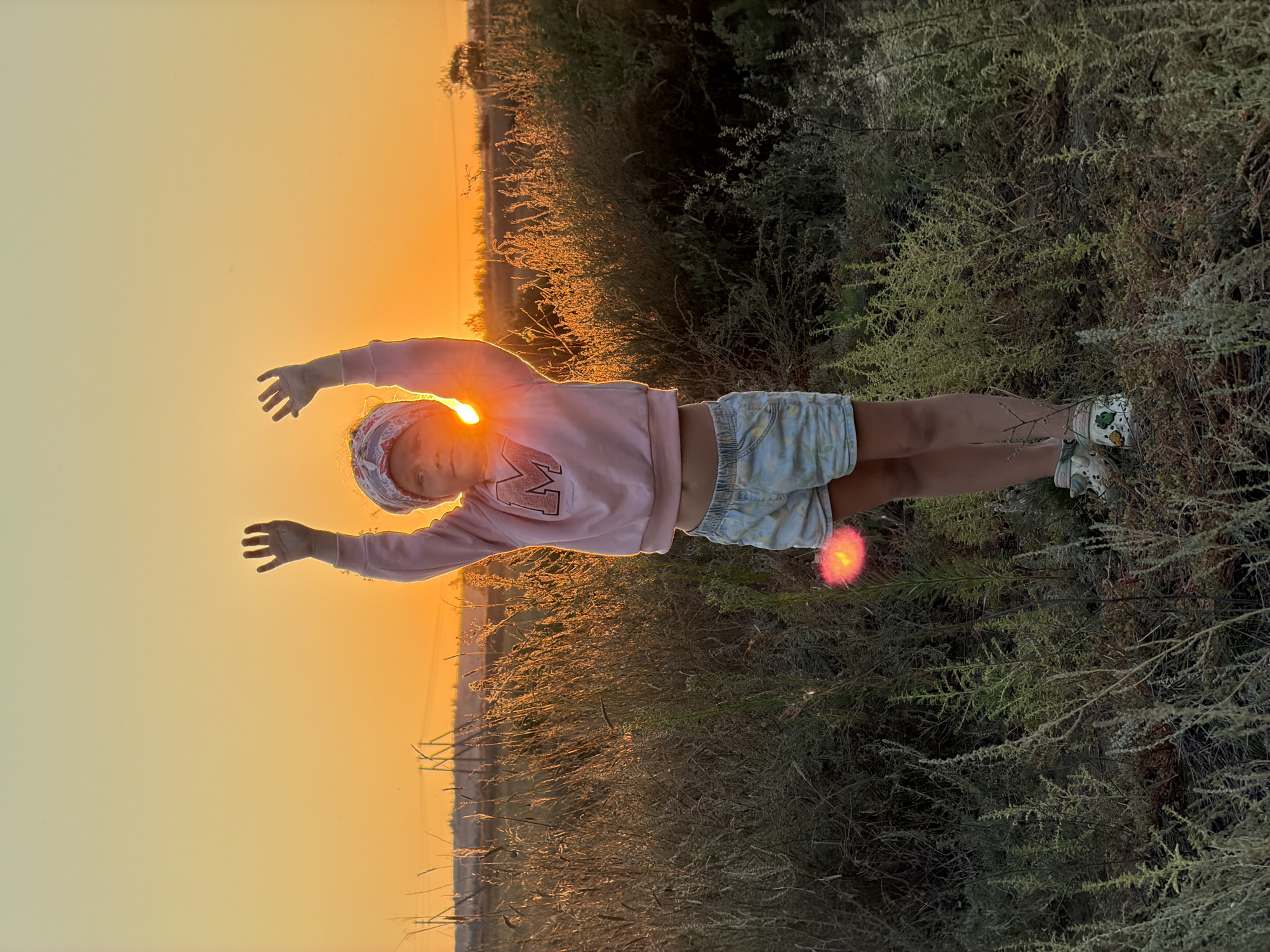 A young girl stands in a field of dry grass and brush, with her arms raised above her head. She is wearing a pink sweatshirt, patterned shorts, and a bandana. The sun is setting behind her, casting a warm glow over the scene. The location is identified as the city of Nizhnyaya Lipovka, Russia.