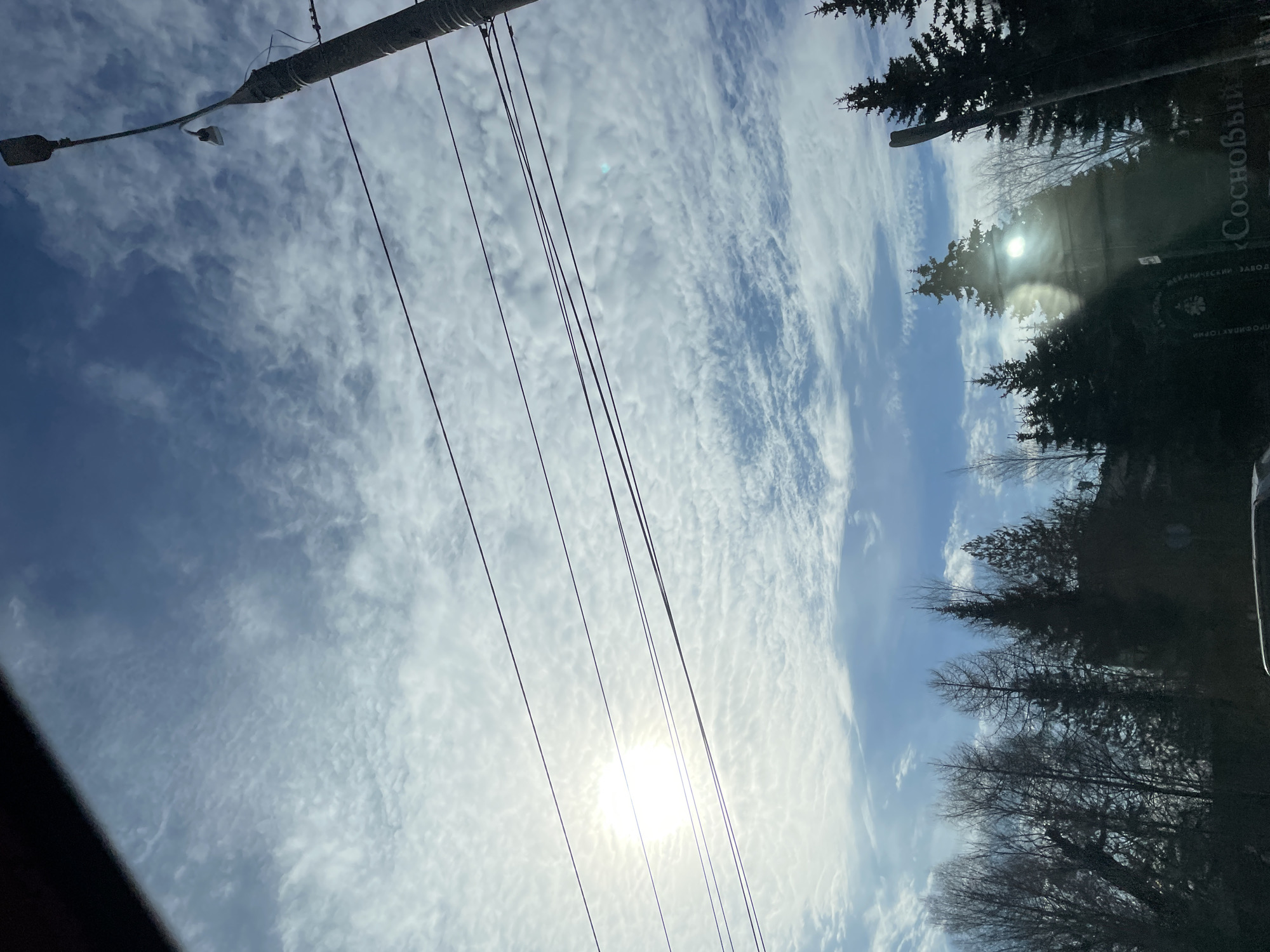 The image presents an exterior scene in Izhevsk, Russia, specifically near the Sosnovyy Profilaktoriy. The upper two-thirds of the frame are dominated by a partially cloudy sky, featuring a bright, diffused sun on the left against a backdrop of altocumulus clouds and blue patches. Four dark utility lines stretch horizontally across the mid-ground. A dark utility pole, fitted with two streetlights, rises vertically on the far right, acting as a support for the power lines. The lower third of the frame displays a dense tree line, composed of bare deciduous trees on the left and prominent, dark evergreen conifers on the right. A large sign, partially obscured and visible beneath the conifers on the lower right, bears the Cyrillic text "Сосновый ПРОФИЛАКТОРИЙ". The extreme upper left corner is diagonally obscured by a dark, indistinct object, consistent with a vehicle's internal structure. No individuals are visible.