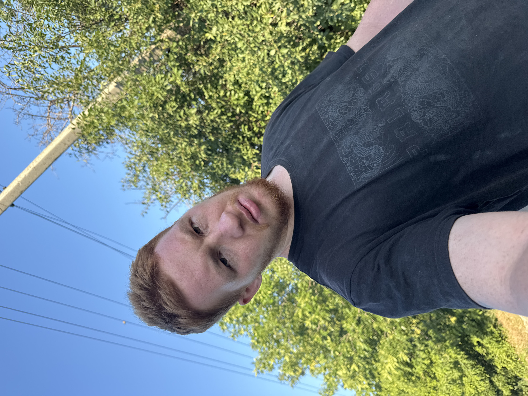 The image is a selfie taken outdoors. The main subject is a young man with light skin and red hair and a beard. He is wearing a black t-shirt with a printed design featuring dragons and text. The t-shirt has a faded, worn appearance. The man is positioned in the foreground, with his face turned towards the camera. His expression is neutral, with his lips slightly parted.
The background consists of a bright blue sky and lush green foliage from trees. A utility pole and several power lines are visible on the left side of the frame. The lighting suggests it is daytime, likely sunny, given the clear sky and the way the light falls on the subject and foliage. The overall setting appears to be a natural or semi-rural environment.
The image is oriented vertically, with the subject appearing upside down relative to a typical upright orientation. This suggests the photo was taken by the subject holding the camera above their head and tilting it. No specific activity or event is clearly depicted beyond the act of taking a selfie. The emotion conveyed is neutral or relaxed. There is visible text on the t-shirt, but it is partially obscured and difficult to read clearly.