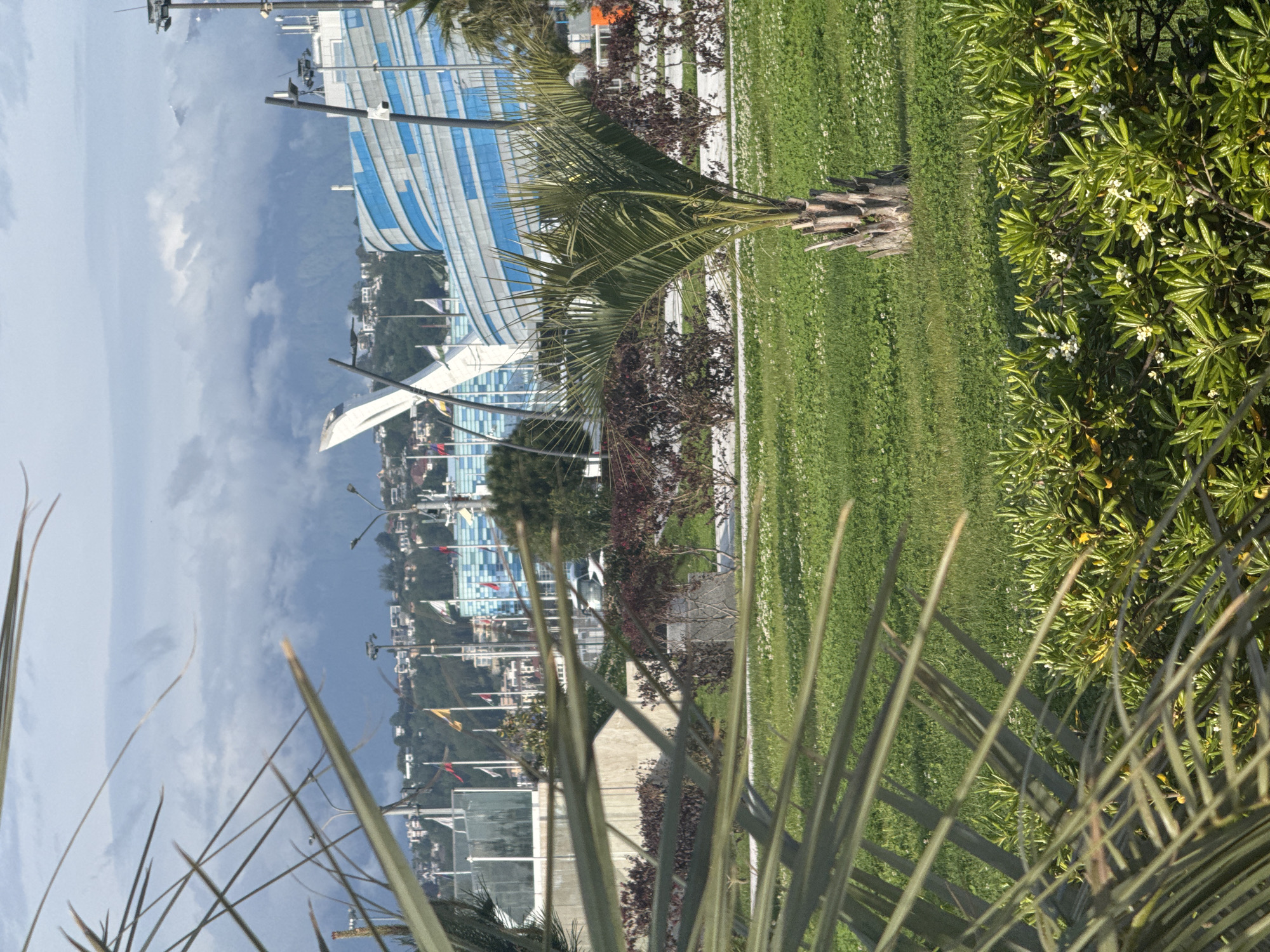 The image captures a scene in what appears to be a coastal or park area in Sirius, Russia. In the background, a large, modern building with a blue and white facade is visible, partially obscured by foliage. A body of water and various flags are seen farther back.
In the midground, there's a green, grassy area interspersed with plants and small trees. A young palm tree stands prominently.
In the foreground, palm fronds obscure the view, adding depth to the shot. The overall impression is a blend of urban and natural elements. No people are obviously visible.