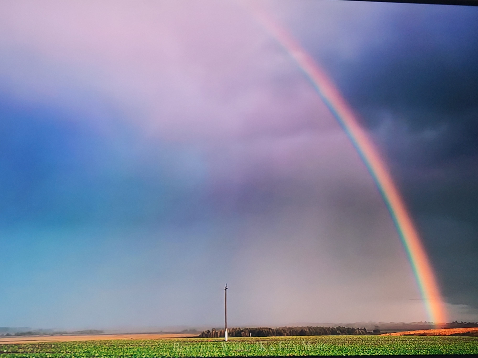 A wide-angle shot depicts a vibrant rainbow arching across a cloudy sky over a rural landscape. The sky transitions from a soft pink and blue on the left to dark, stormy grey on the right. The rainbow itself is a prominent, colorful arc, with distinct bands of red, orange, yellow, green, blue, and violet. Below the rainbow, a field of green crops extends towards a treeline in the distance. A single utility pole stands vertically in the middle ground, with a hint of a road or path visible behind the crops. The overall scene is one of natural beauty following a weather event. The image is undated and its specific location within Sofia, Bulgaria, cannot be determined from the visual information provided.