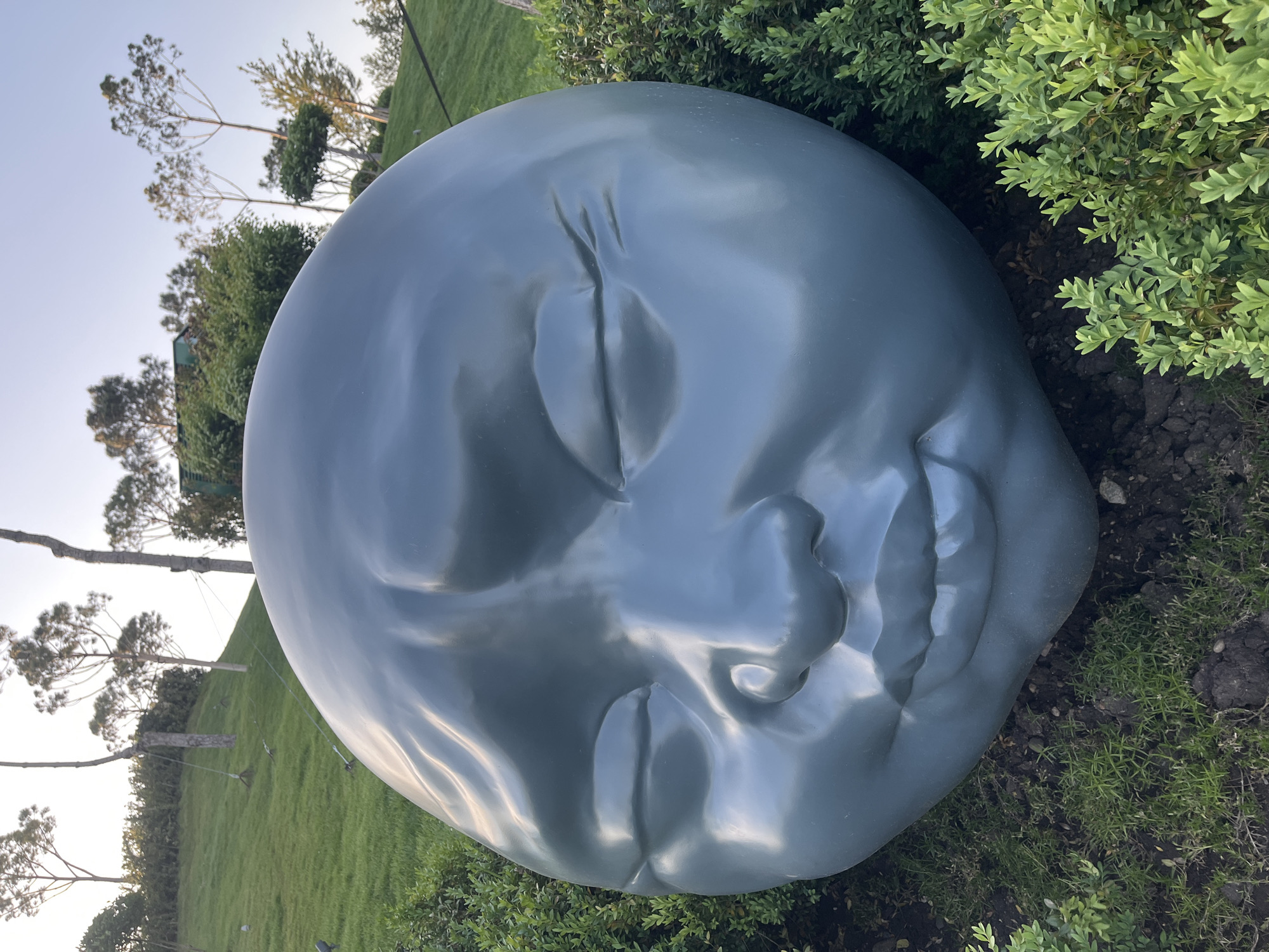 The image shows a large, gray, glossy sculpture of a face with closed eyes. The sculpture is resting on the ground, surrounded by green grass and bushes. In the background, there are trees and a clear sky. Based on the sculpture and the landscaping style, it is possible that this image was taken in a public park. According to the metadata and additional resources, the location is Galitsky Park, Krasnodar, Russia.