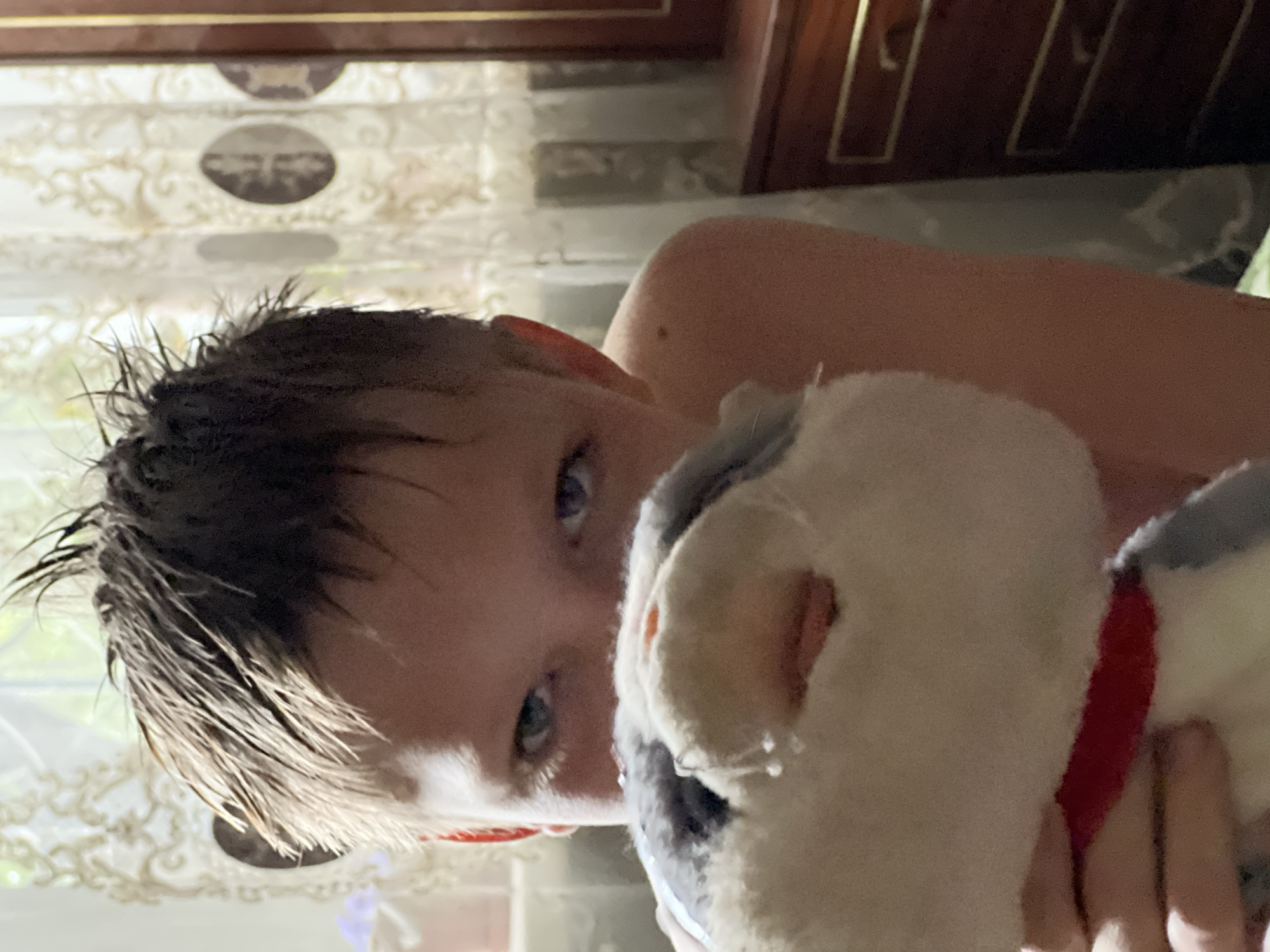 A close-up, over-the-shoulder shot shows a young boy holding a stuffed animal. The boy has wet, spiky hair and is looking at the camera with his blue eyes. He is peeking over the top of a grey and white stuffed animal with a red collar. The background consists of a sheer curtain with a floral pattern and a dark wooden dresser. The lighting suggests an indoor setting, possibly a bedroom. The scene does not depict any identifiable landmarks or features specific to Qarağandı city administration, Kazakhstan.