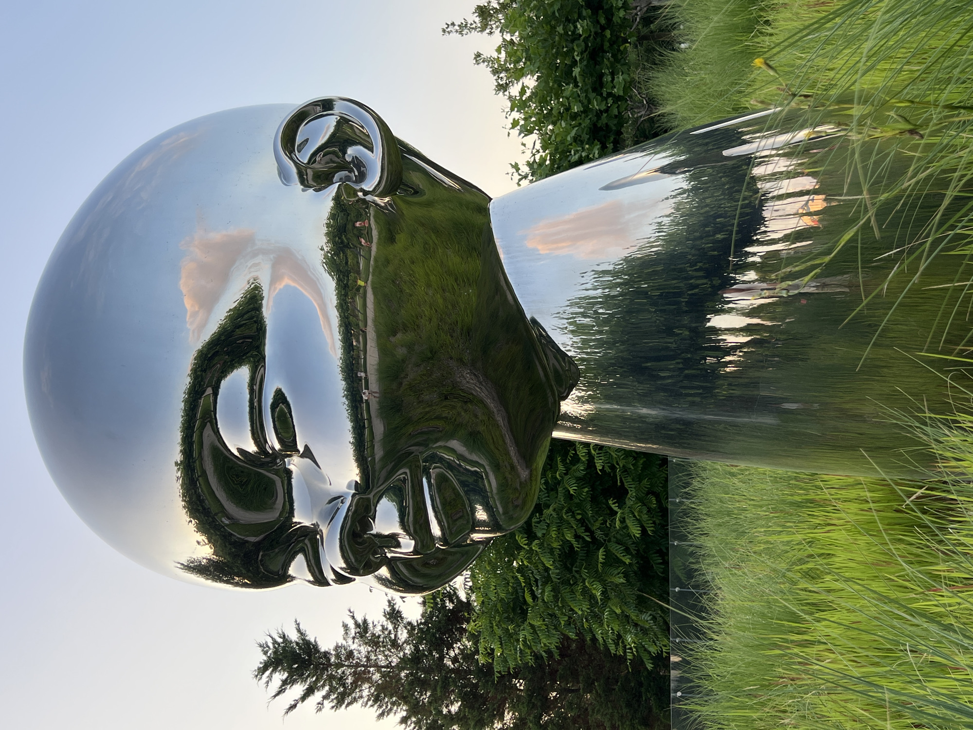 A large, highly polished, chrome sculpture of a human head is prominently displayed outdoors, likely in a park or garden setting. The sculpture reflects the surrounding environment, including the sky, clouds, trees, and grass, creating a distorted and surreal visual effect. The sky is a pale blue with wispy pink and orange clouds, suggesting it may be dawn or dusk. Lush green grass and trees frame the sculpture, indicating a natural, possibly temperate climate. The sculpture itself is smooth and appears to be made of metal, possibly stainless steel, given its reflective surface. The head is depicted in a neutral or slightly contemplative expression, with its features clearly defined by the curves and contours of the metal. The scene appears peaceful and serene, with the natural light casting soft reflections on the sculpture. There is no visible text in the image. The overall impression is one of modern art integrated into a natural landscape.