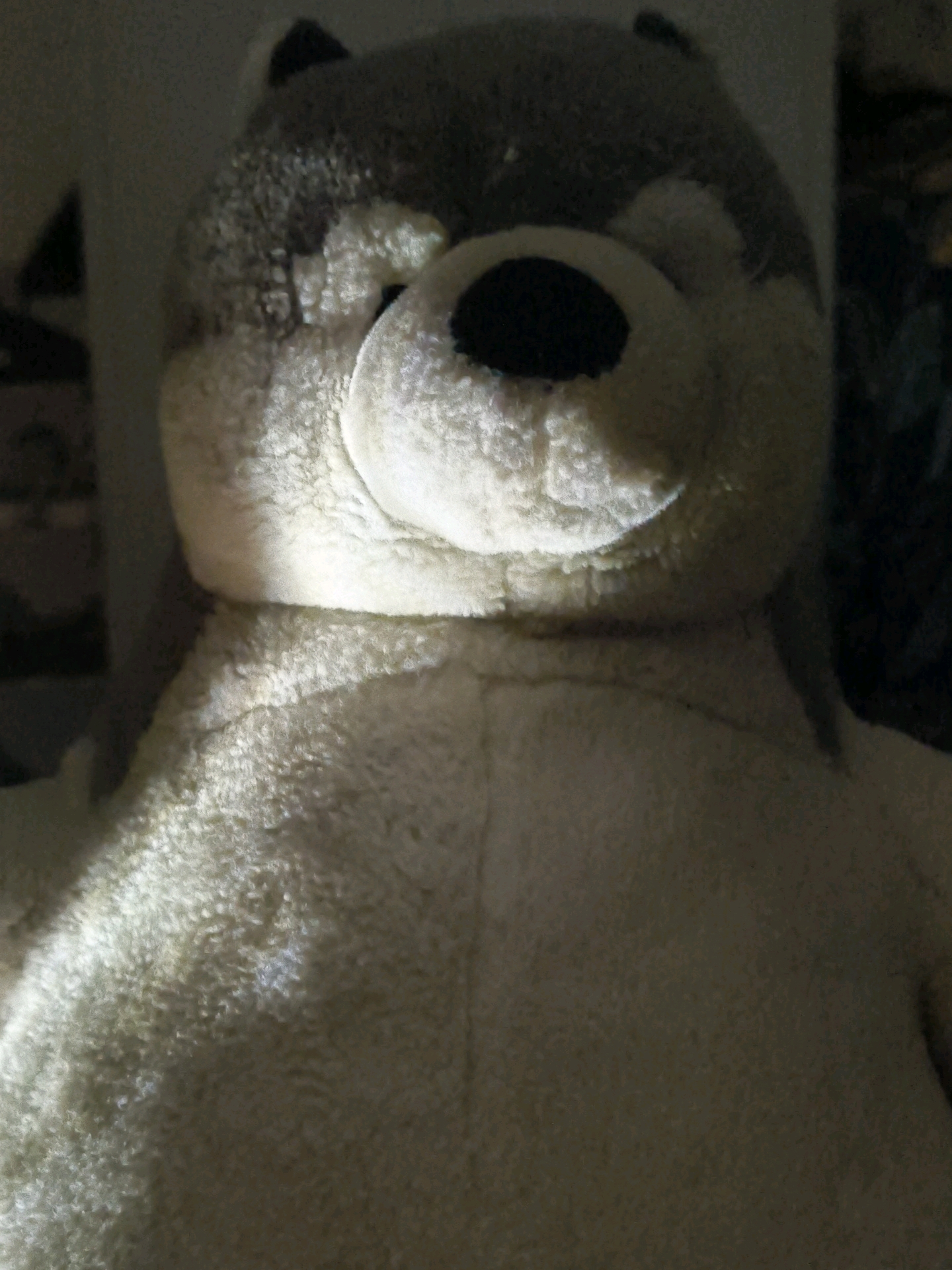 This is a close-up, low-light, eye-level, full-body shot of a stuffed wolf toy. The toy is predominantly white with gray markings around its head and ears. Its face is partially obscured by shadow, but its snout and one black eye are visible. The texture of the toy appears soft and furry. The background is dark and out of focus, with some indistinct shapes that suggest a dimly lit indoor environment. There are no people present, and no identifiable landmarks or details that would place this image in Mohali, India.