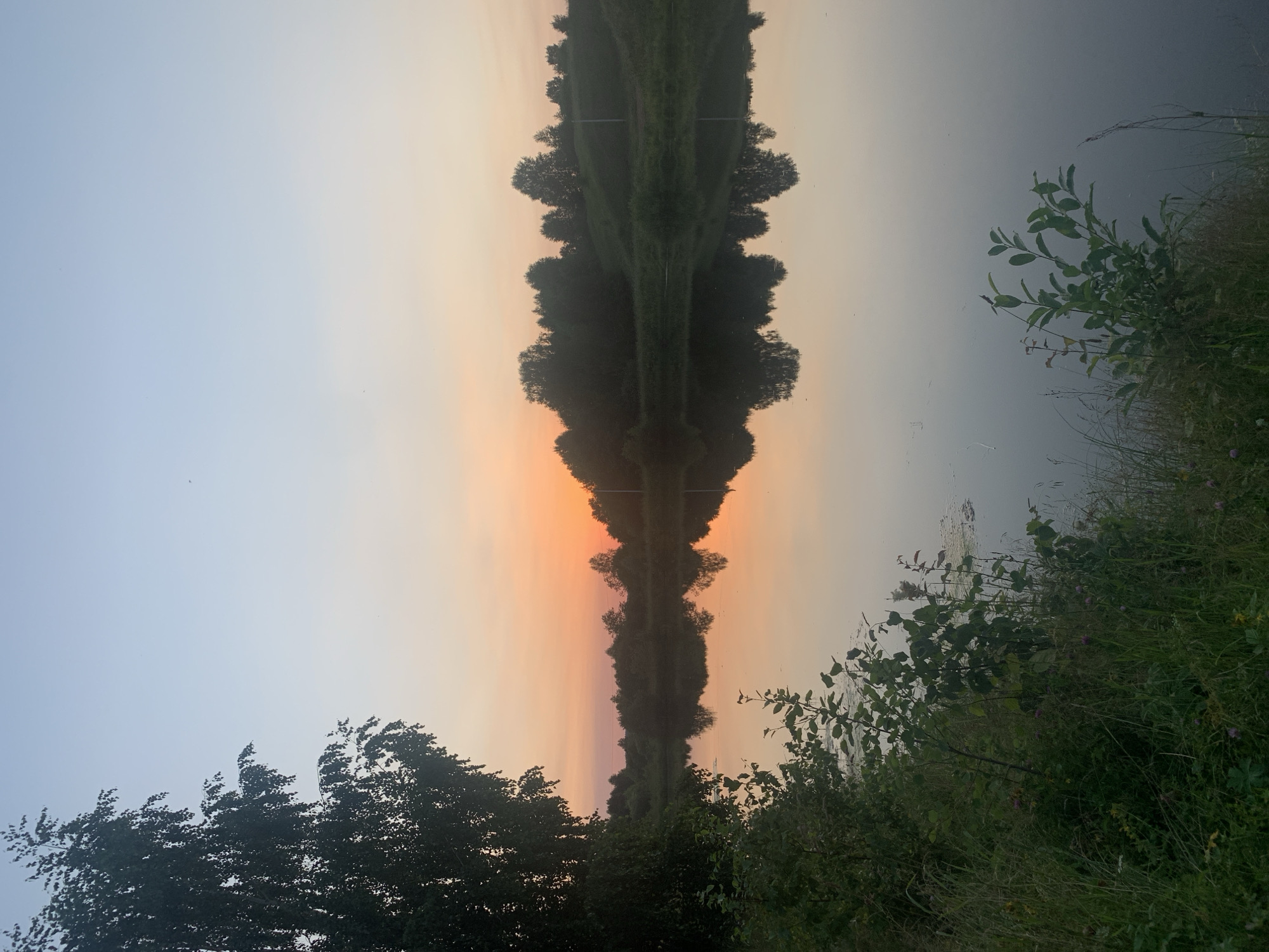 This is a vertical, low-angle, full shot of a still body of water reflecting a tree-lined bank and a pastel-colored sky. The water is dark and smooth, with ripples visible in the upper right corner. The reflected trees form a dark, symmetrical line down the center of the image, their forms distorted by the water. The sky above transitions from a pale blue on the left to warm tones of orange and pink on the right, suggesting either sunrise or sunset.
The foreground is filled with lush green vegetation, including tall grasses and leafy bushes, also reflected in the water. The trees lining the bank are dense and dark, with their branches creating a textured silhouette against the sky.
The overall mood is tranquil and serene, amplified by the stillness of the water and the soft colors of the sky. The image appears to be taken outdoors in a natural setting, likely a river or lake. The time of day is either early morning or late evening due to the sky's coloration. There is no visible text in the image.