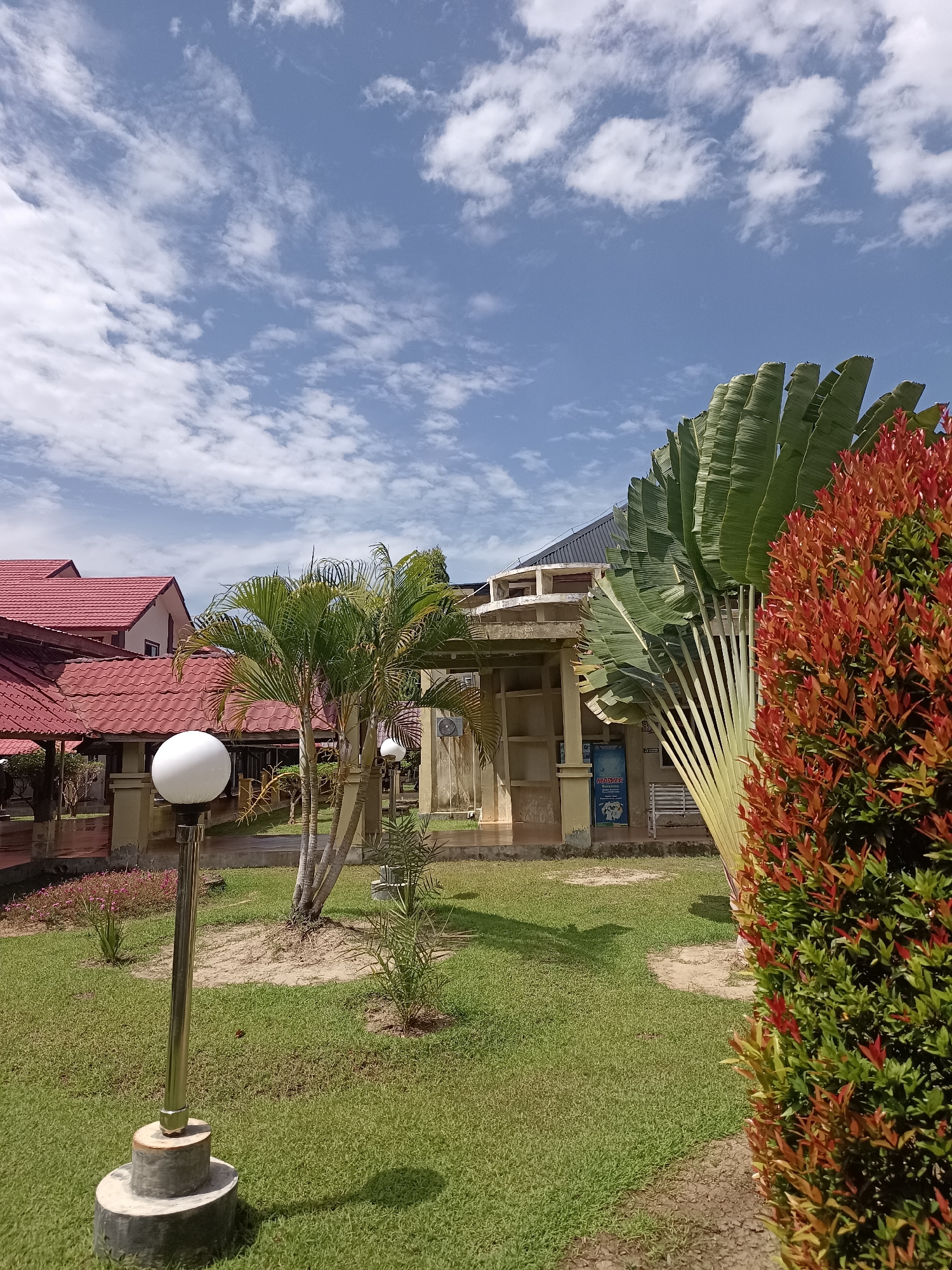 The image depicts an outdoor scene with a lush green lawn in the foreground and middle ground, under a bright blue sky with scattered white clouds. On the left side of the frame, a modern spherical lamp on a metallic post stands on a concrete base, casting a shadow on the grass. Behind the lamp, there's a section of a building with a red tiled roof, partially obscured by a palm tree. The building appears to be a structure with covered walkways or verandas. In the middle ground, a tall, fan-shaped palm tree, identified as a Ravenala madagascariensis or traveler's palm, is prominent. To the right of the traveler's palm, a dense bush with vibrant red and green foliage is visible, partially obscuring the palm. Further back, another building with a grey roof and a beige facade is visible, with some open-air architectural elements and columns. Signs are posted on this building, one of which appears to be in Indonesian and has the word "MASKER" on it. The environment suggests a tropical or subtropical climate, consistent with the location in Mesjid Reuntoh, Indonesia. There are no people visible in the image.