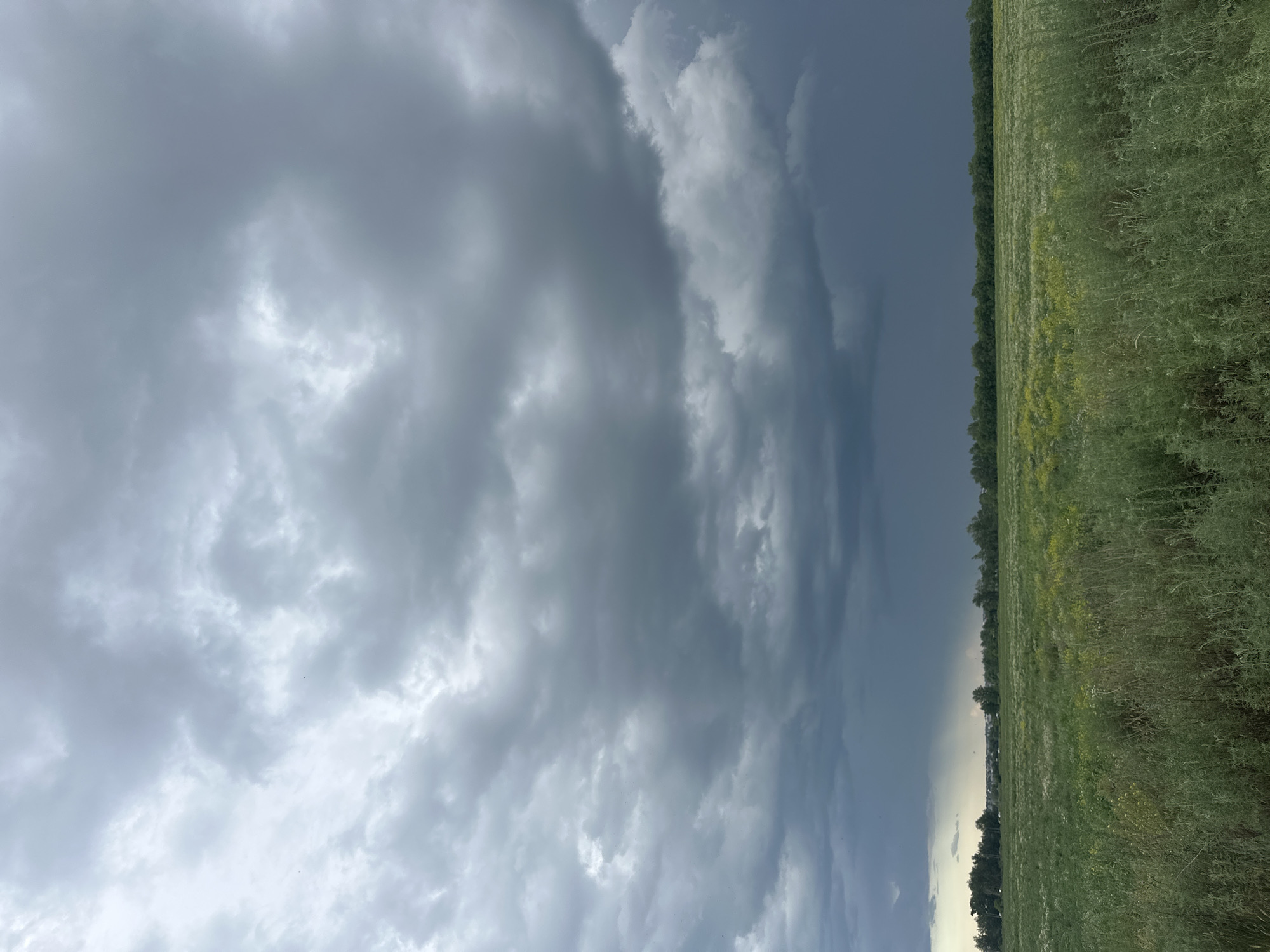 The image depicts a stormy sky over a rural landscape. The sky is filled with dark, ominous clouds, suggesting an impending rainstorm. To the right of the frame, a vast field of green grass stretches out, bordered by a line of trees in the distance. The overall mood is dramatic and somewhat foreboding, due to the heavy cloud cover and the approaching storm. The lighting suggests it is either late afternoon or early evening, as the sky transitions into darker shades. There are no visible people or objects in the scene. The location is identified as Заречный ауылдық округі, Kazakhstan, a rural area characterized by open fields and natural vegetation.