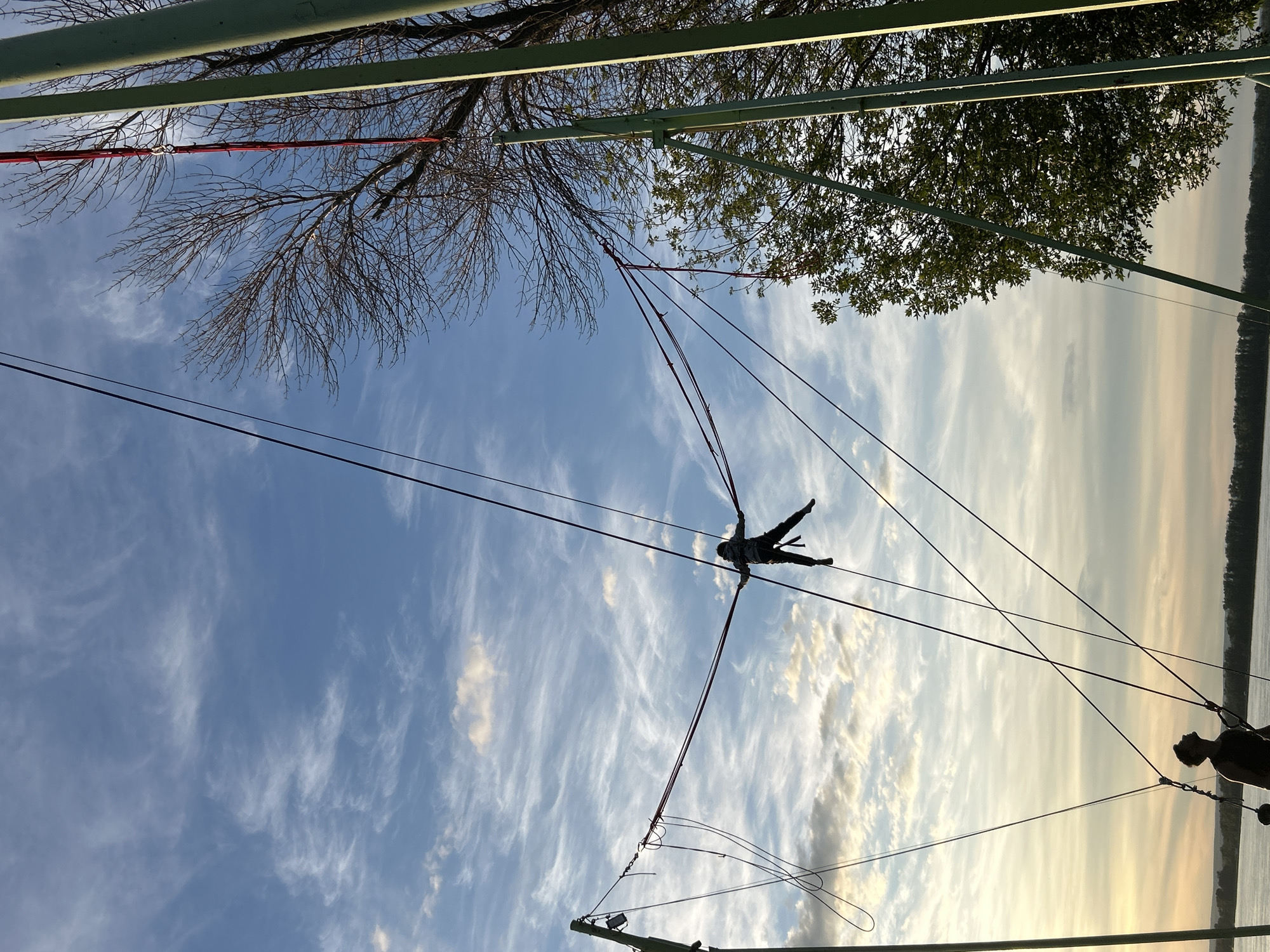 The image depicts a dynamic scene under a partly cloudy sky, likely during sunset given the warm glow on the horizon. The perspective is looking upwards, with a silhouette of a person suspended mid-air by bungee cords. The individual is in a stretched-out pose, arms and legs extended, suggesting they are in the midst of a bungee jump or similar aerial activity.
The bungee cords crisscross the frame, anchored to an unseen structure at the top. The sky is a vibrant blue, streaked with wispy white clouds that catch the golden light. Bare tree branches, devoid of leaves, suggest it might be autumn or early spring. In the background, a calm body of water stretches to the horizon, bordered by a dark, tree-lined shore.
Another person is partially visible on the right side of the image, also silhouetted and seemingly connected to the bungee system, perhaps preparing for their turn or observing the jump. The overall mood is one of adventure and exhilaration, captured in a moment of suspended action against a beautiful natural backdrop. There is no visible text in the image.