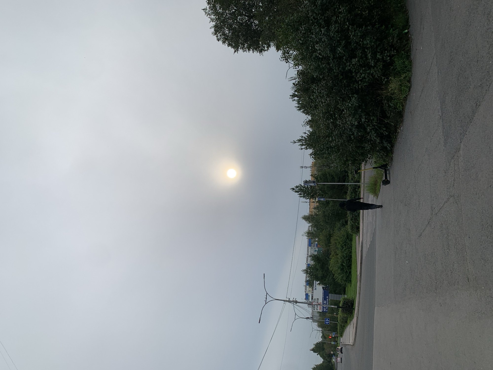 The image depicts an overcast day in Prokopyevsk, Russia, with the sun appearing as a bright, diffused circle through the haze. A lone figure, dressed in black with their back to the camera, walks across a pedestrian crossing on an asphalt road. To the right of the figure, a black electric scooter is parked near a dense hedge. In the background, trees and apartment buildings are visible, with streetlights and power lines also present. The scene appears to be a street corner in a residential or mixed-use urban area.