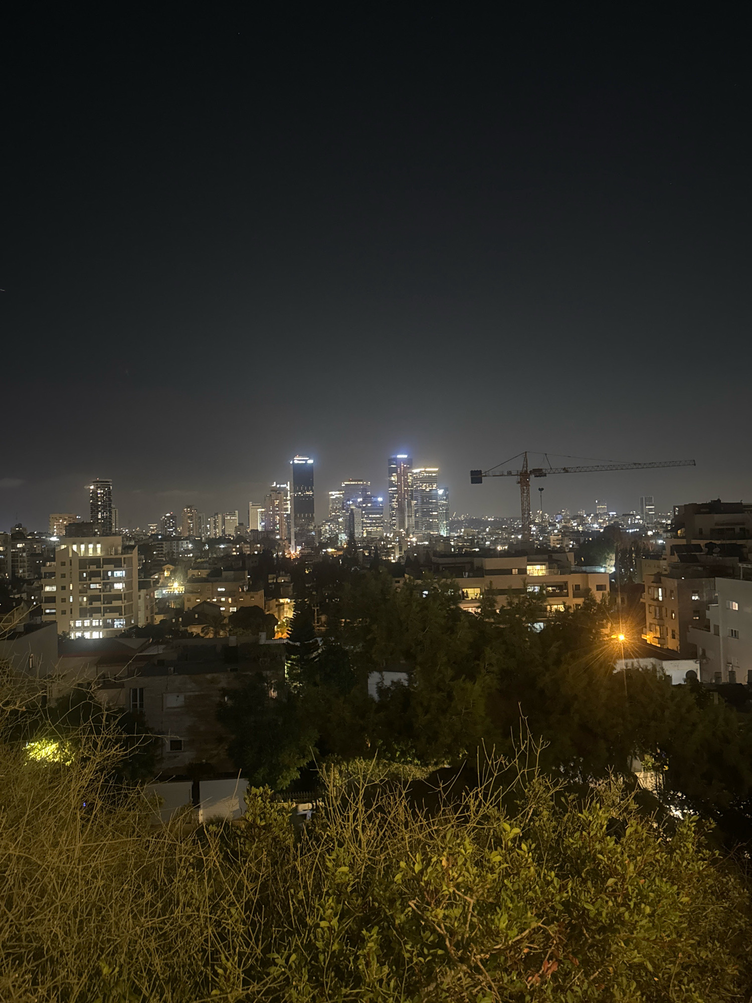 The image depicts a nighttime cityscape of Ramat Gan, Israel, as viewed from an elevated vantage point. The foreground is dominated by a dense cluster of dry, bare tree branches and some leafy green foliage. Beyond this natural element, the middle ground reveals a sprawling urban environment characterized by multi-story buildings with illuminated windows, suggesting residential or commercial occupancy.
Further into the background, a distinct skyline of taller buildings, including skyscrapers, is visible, many of which are brightly lit, outlining their structures against the dark night sky. One prominent feature in the mid-background is a large construction crane, its silhouette stark against the illuminated cityscape, indicating ongoing development. The sky above is dark and clear, with a few faint lights suggesting distant celestial bodies or atmospheric haze. The overall scene conveys a sense of a vibrant, active city at night.