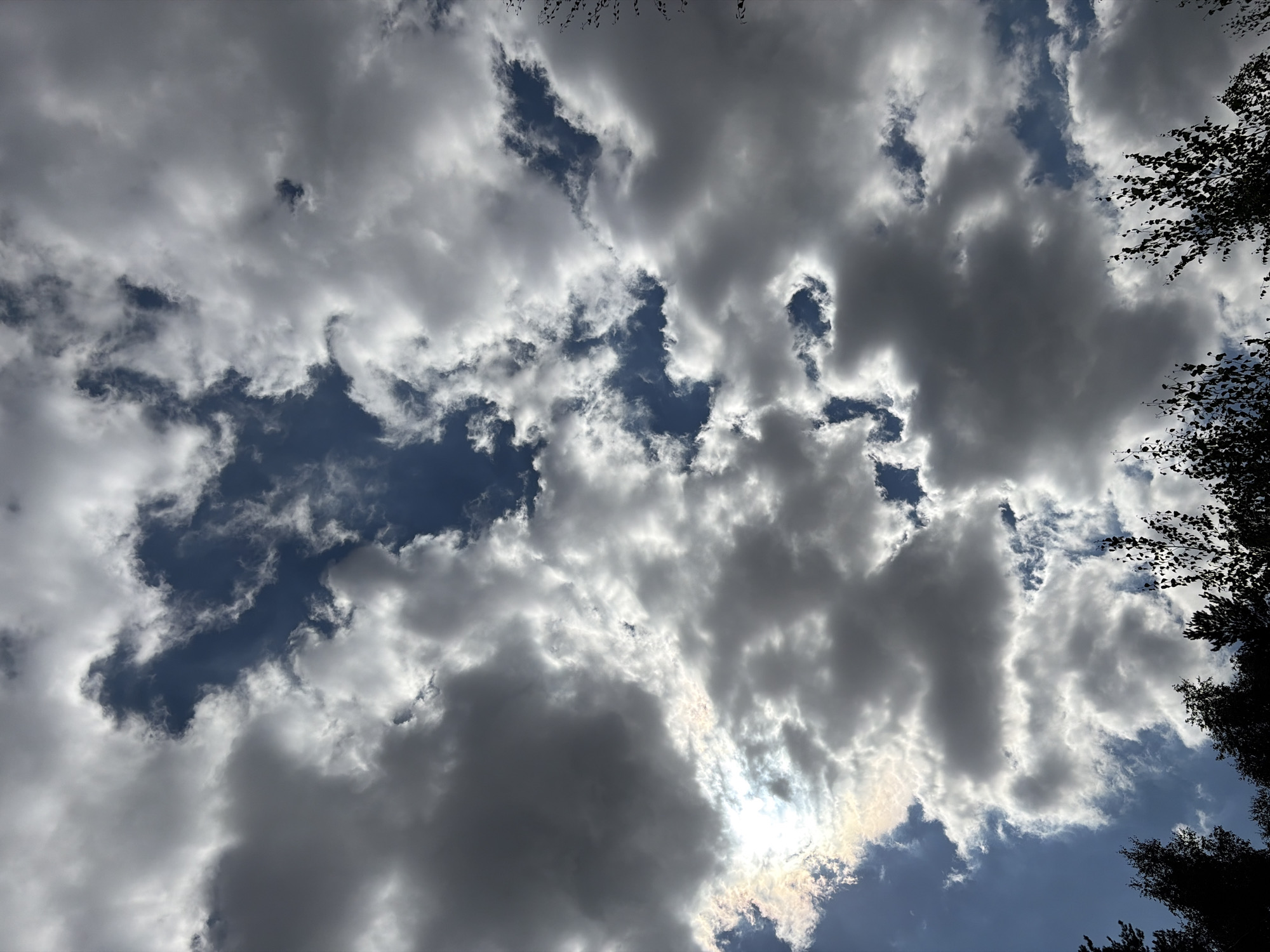 The image shows a cloudy sky above a silhouetted forest. The clouds are a mix of dark gray and bright white, with patches of blue sky visible. The sun is partially obscured by the clouds, creating a bright glow on the left side of the image. The trees at the bottom of the image are dark and leafy, with branches reaching up towards the sky. The location is identified as Imeni Vorovskogo, Russia. There are no people, actions, or interactions depicted in the image.